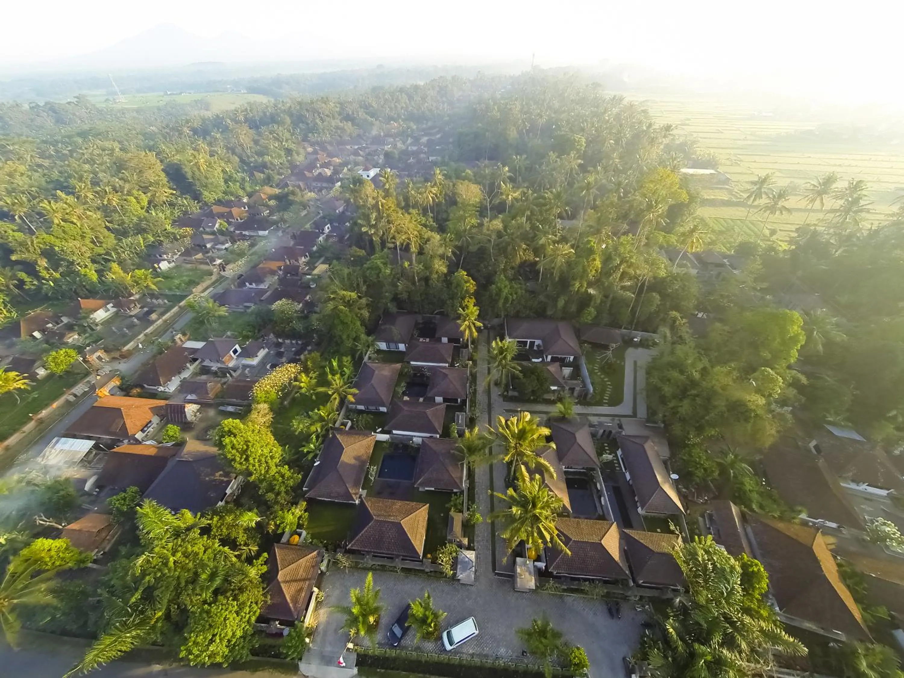 Natural landscape in Ubud Raya Villa