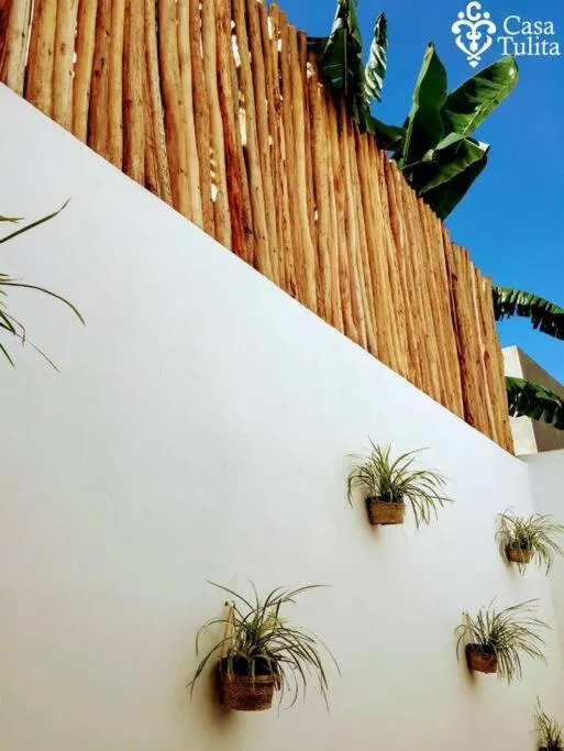 Casa Tulita Valladolid