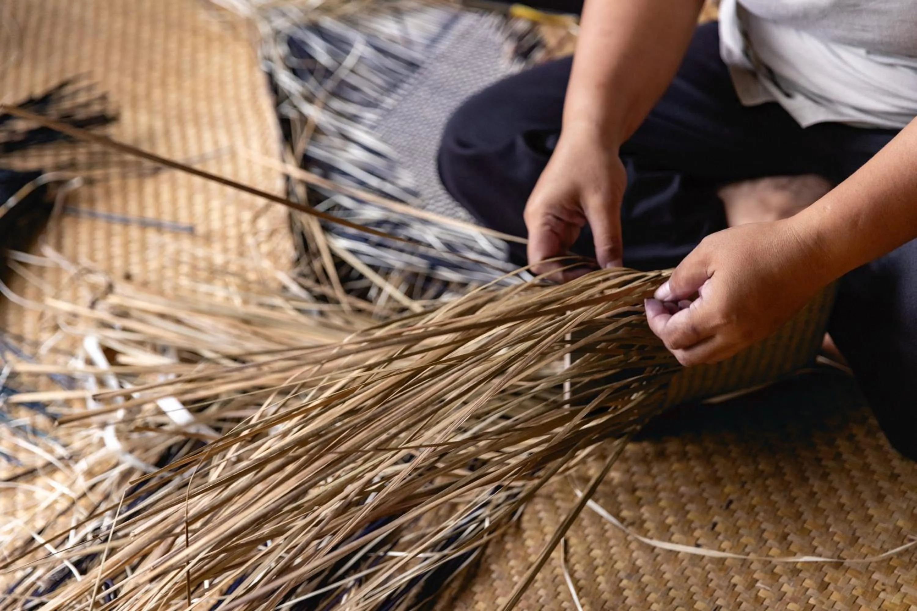 Other in Dusit Princess Phatthalung