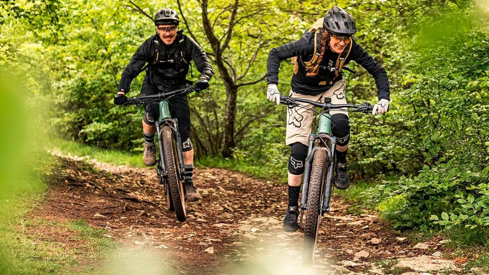 Safir przy samym WYCIĄGU