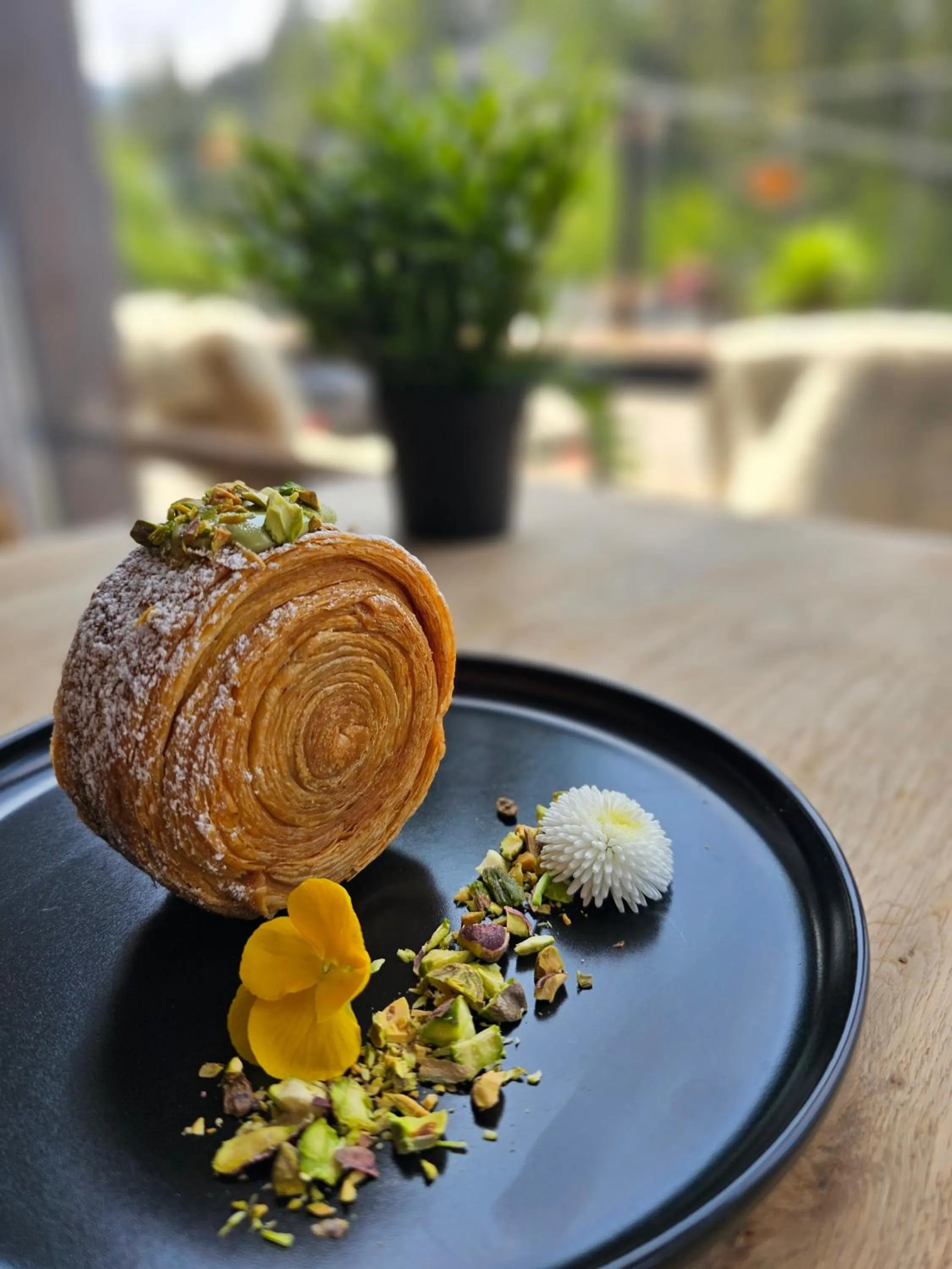 Safir przy samym WYCIĄGU