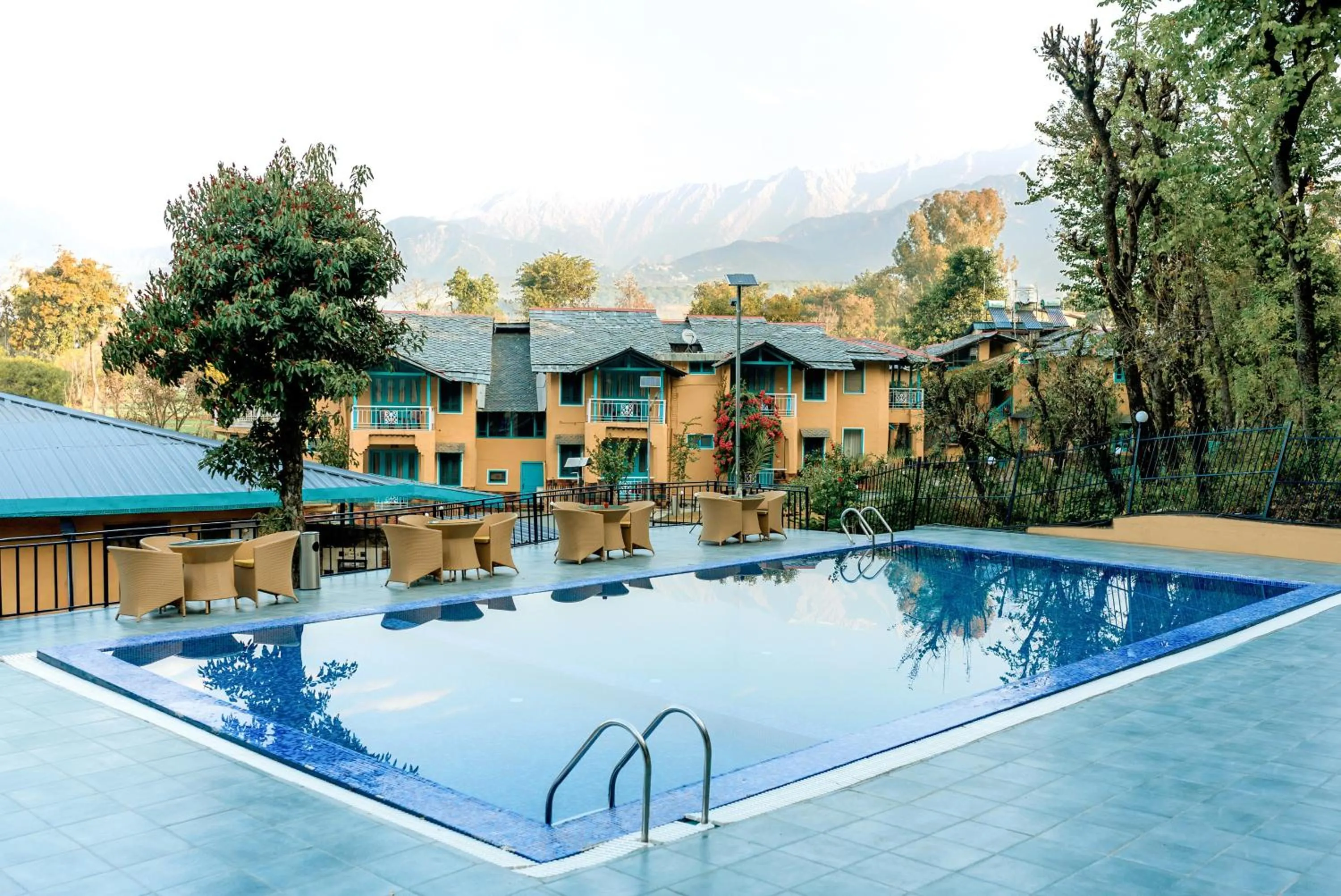Swimming pool in Tree of Life Birdsong Chalets , Dharamshala