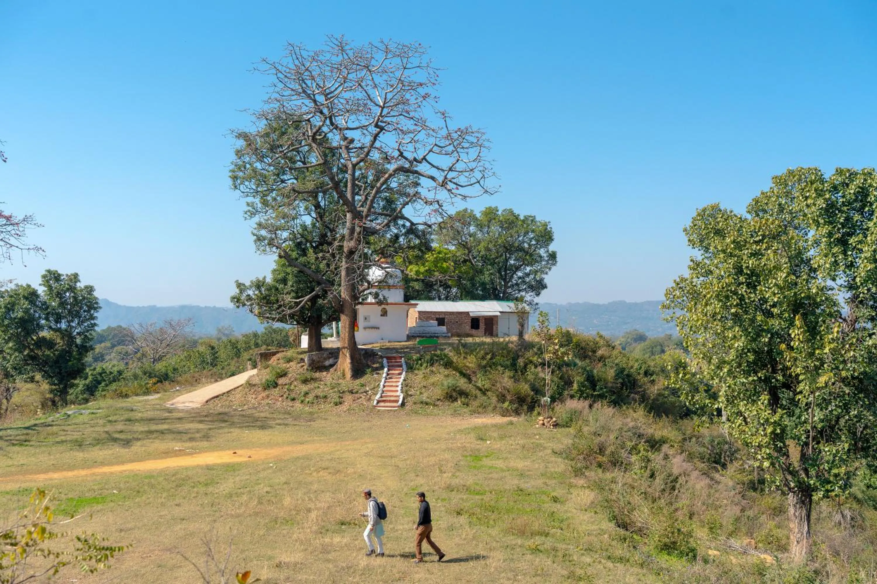 Activities in Tree of Life Birdsong Chalets , Dharamshala