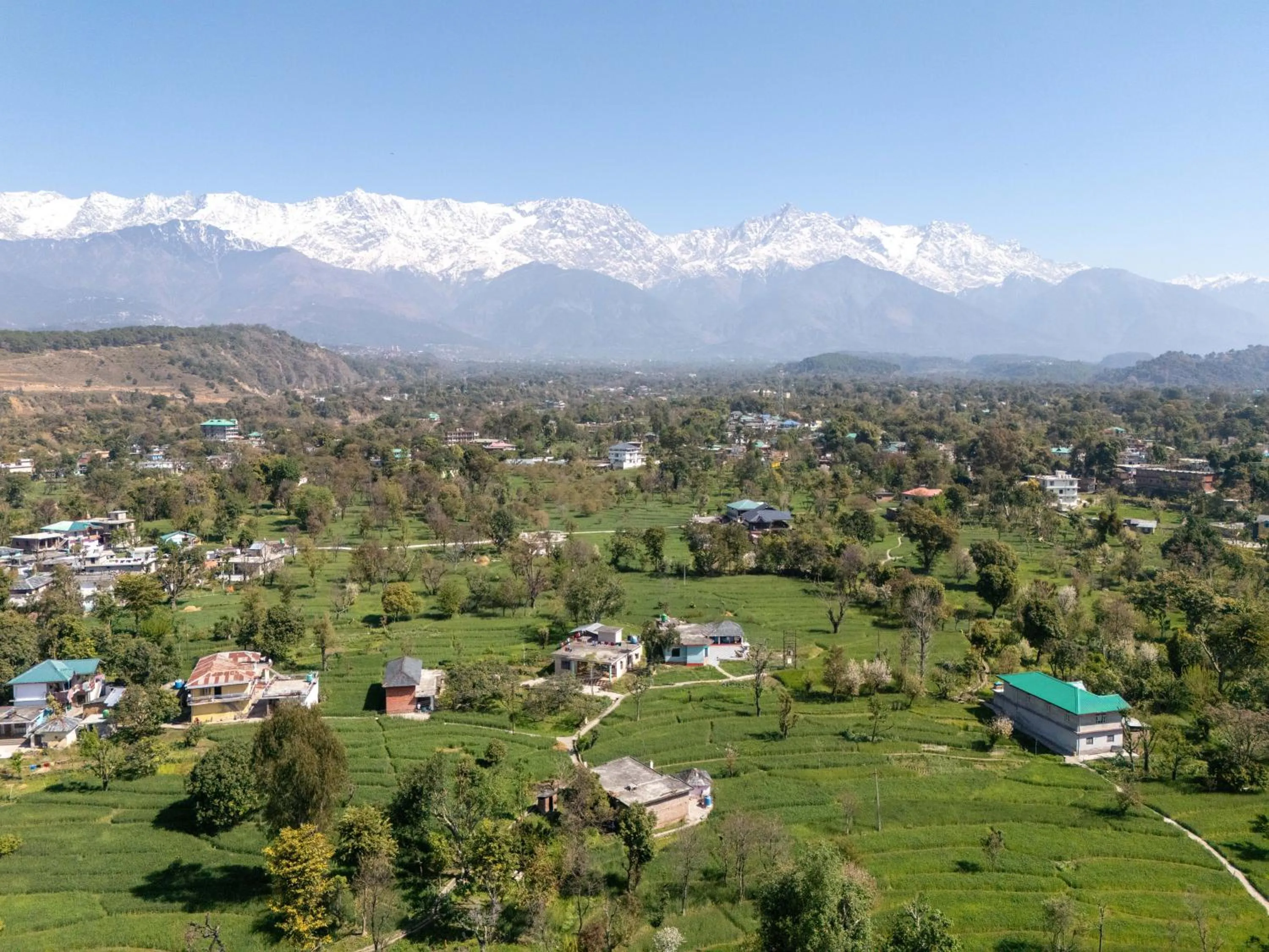 Activities in Tree of Life Birdsong Chalets , Dharamshala