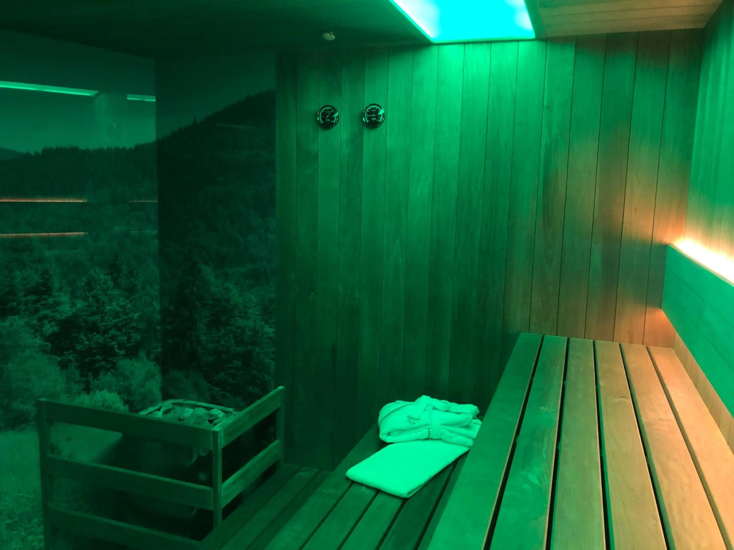 Swimming pool in Hotel Olivia Medical SPA