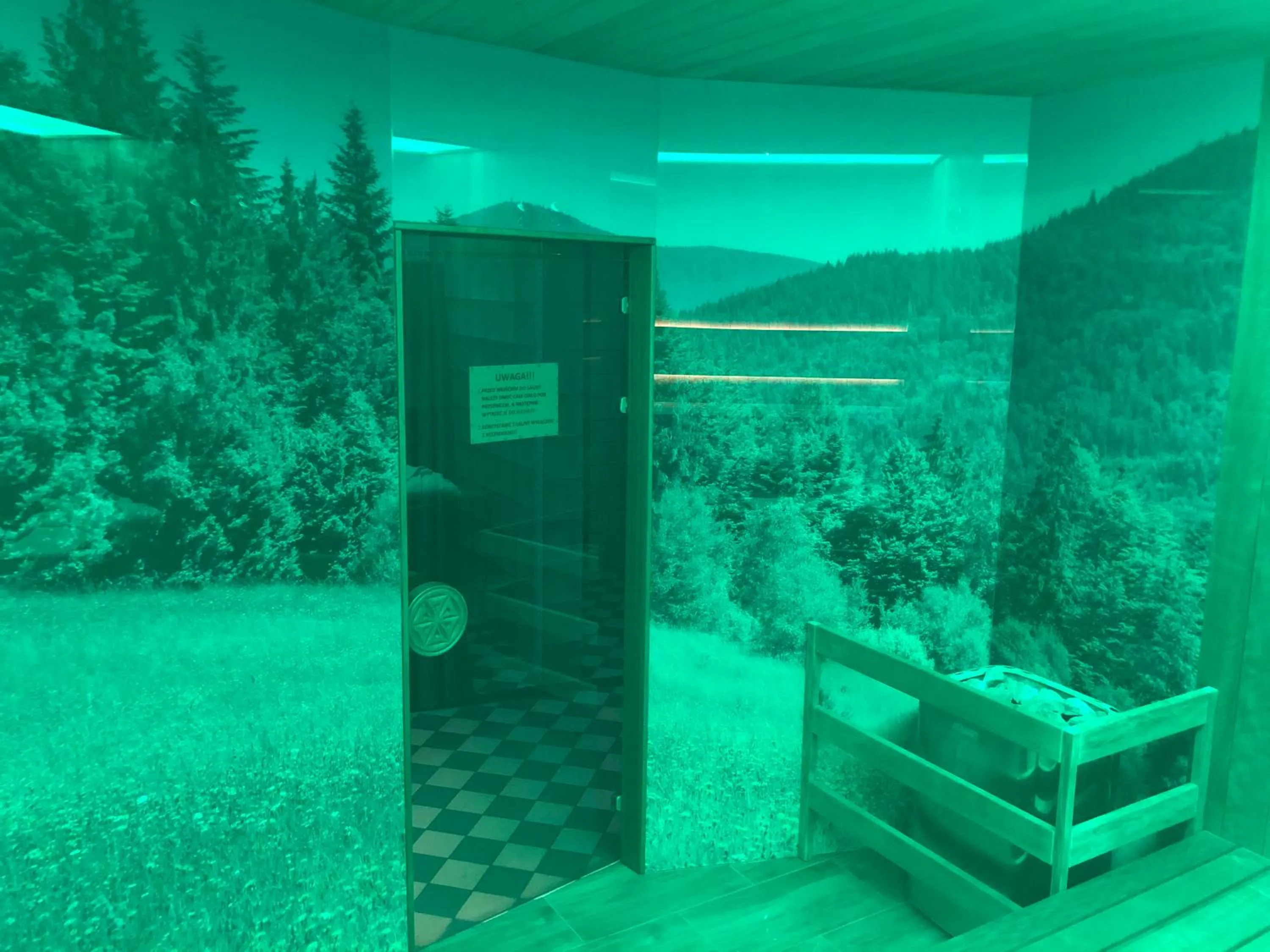 Swimming pool in Hotel Olivia Medical SPA