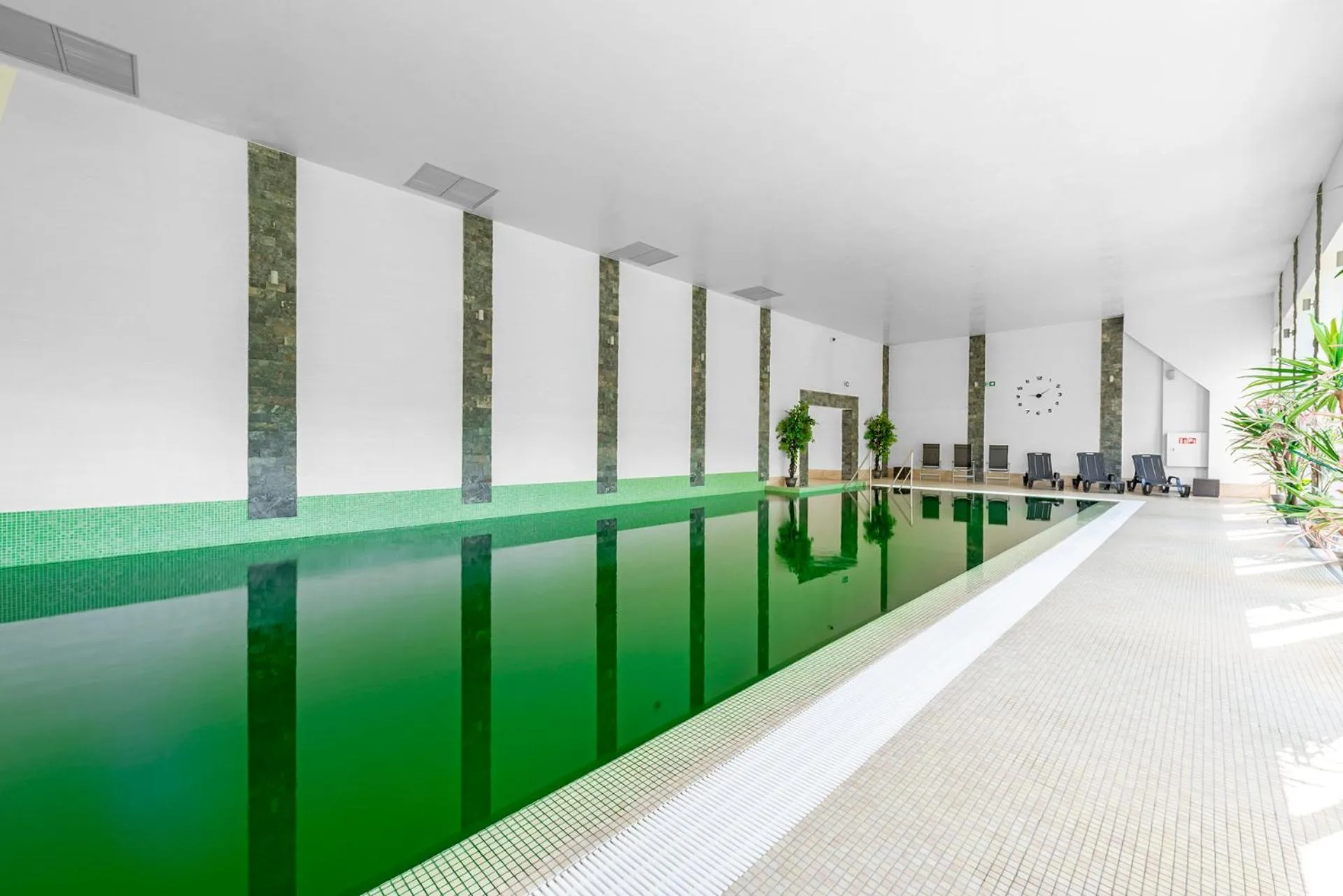 Swimming pool in Hotel Olivia Medical SPA