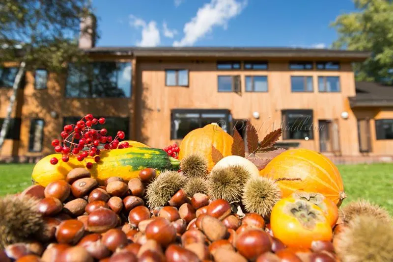 Other in Lakehouse At Toyako