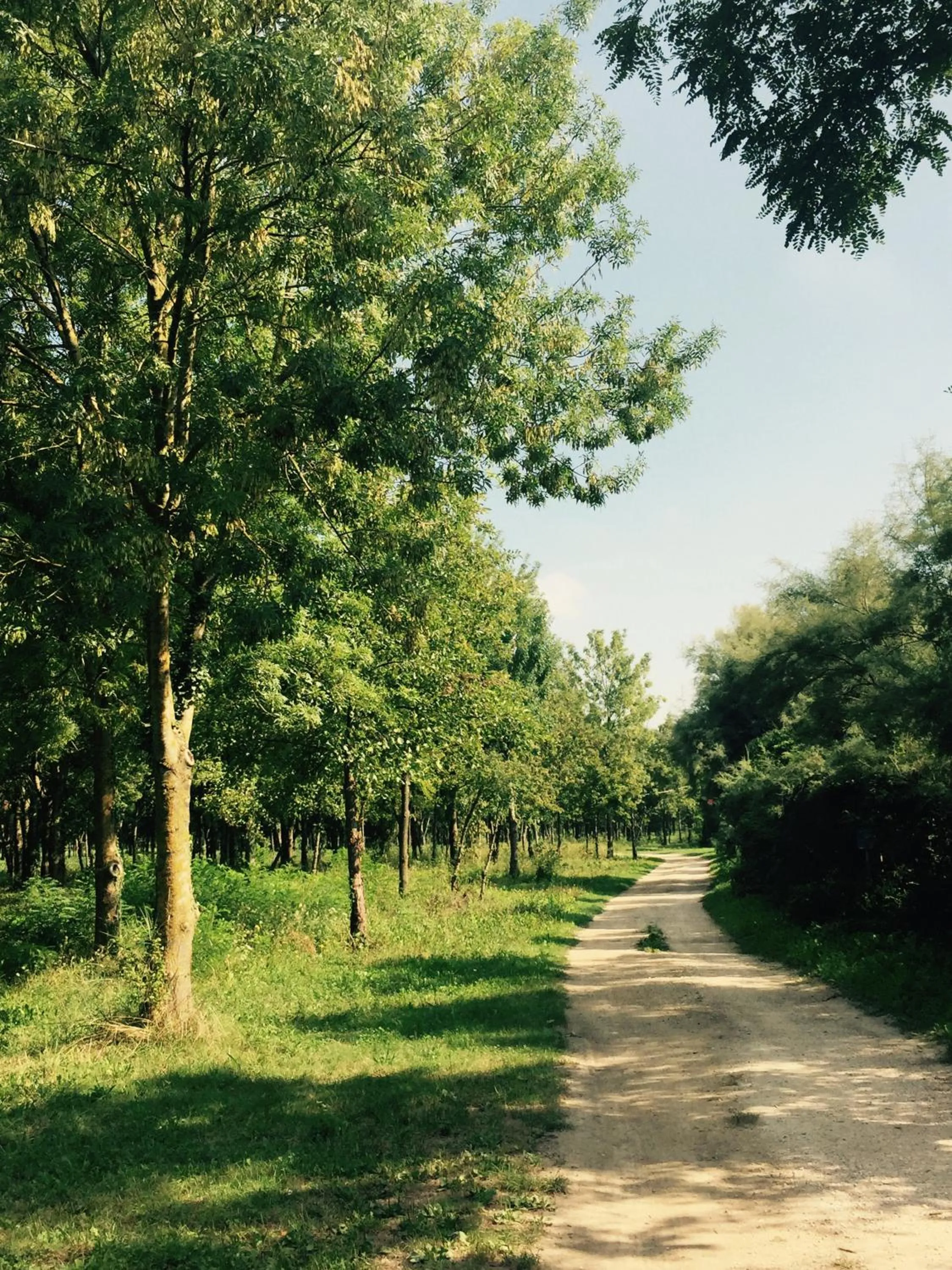 Day in Hotel Picobello Pineta