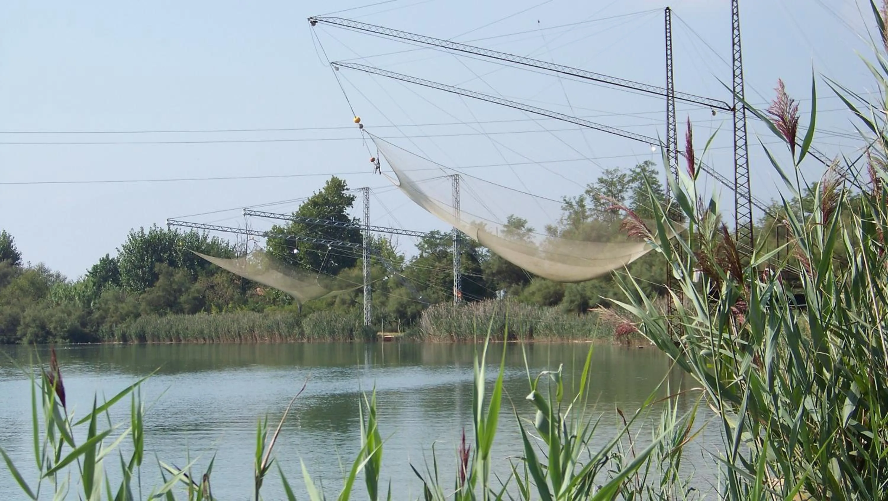 Day in Hotel Picobello Pineta