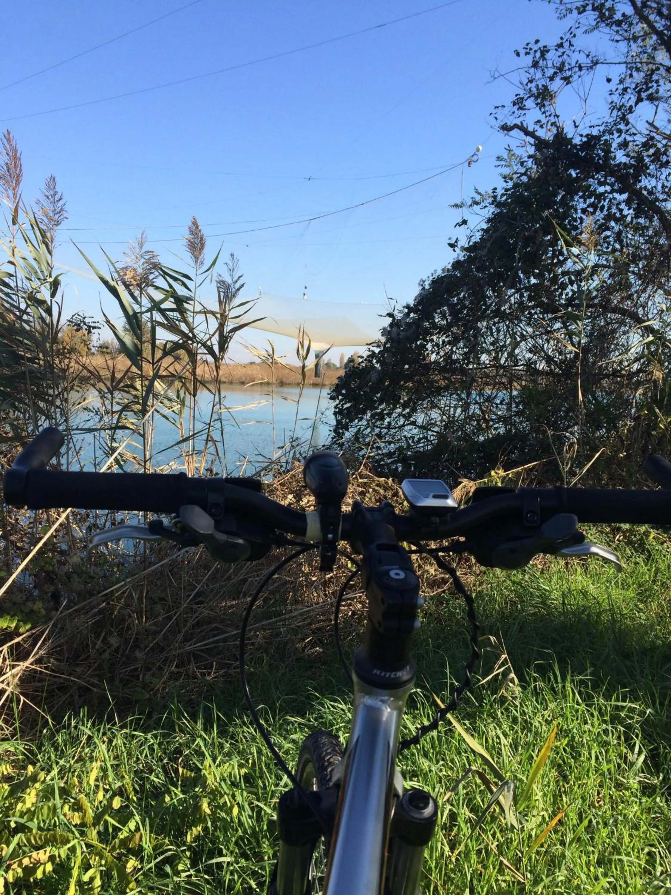 Day in Hotel Picobello Pineta