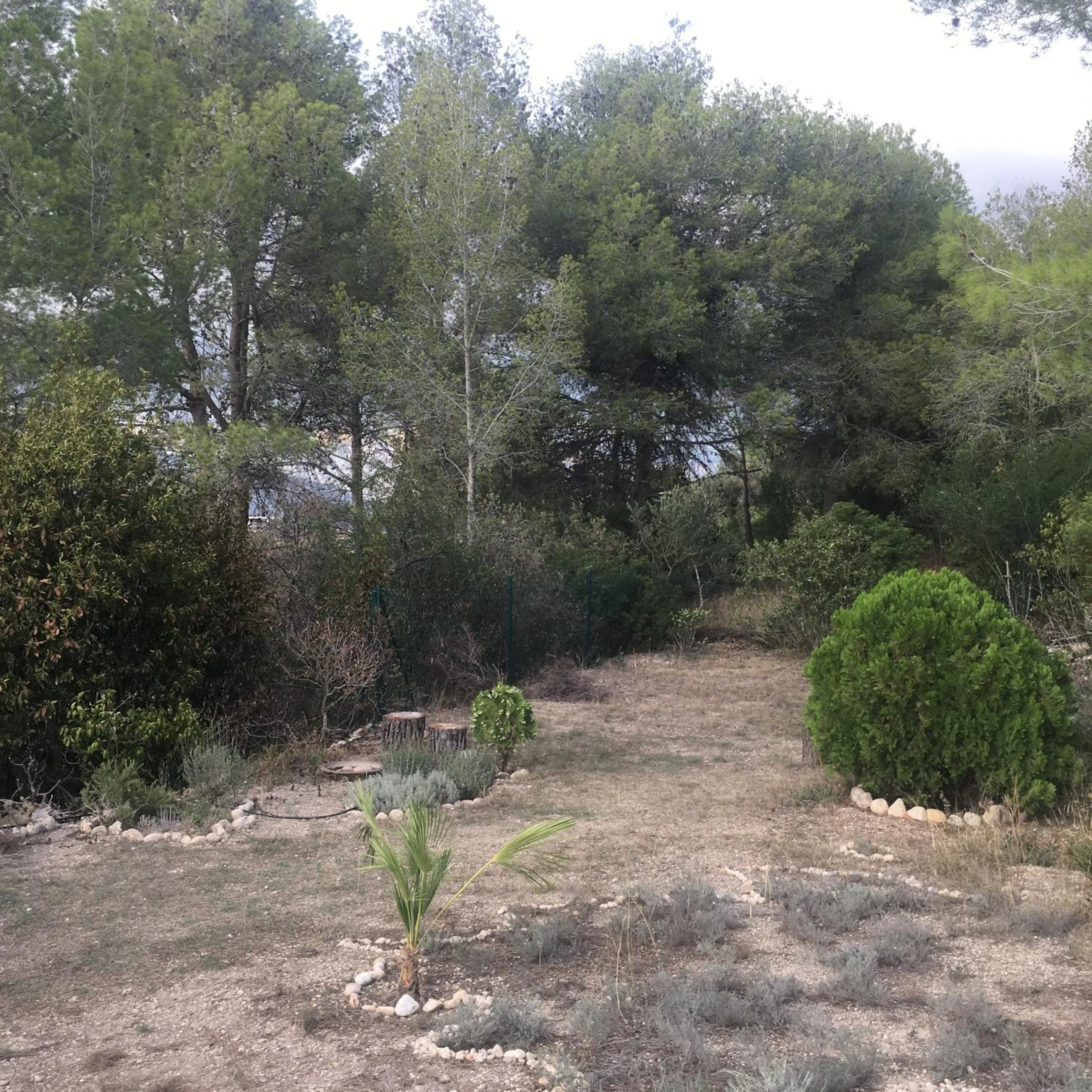 Garden view in Vi l'Art Wine Lodge - Only Adults