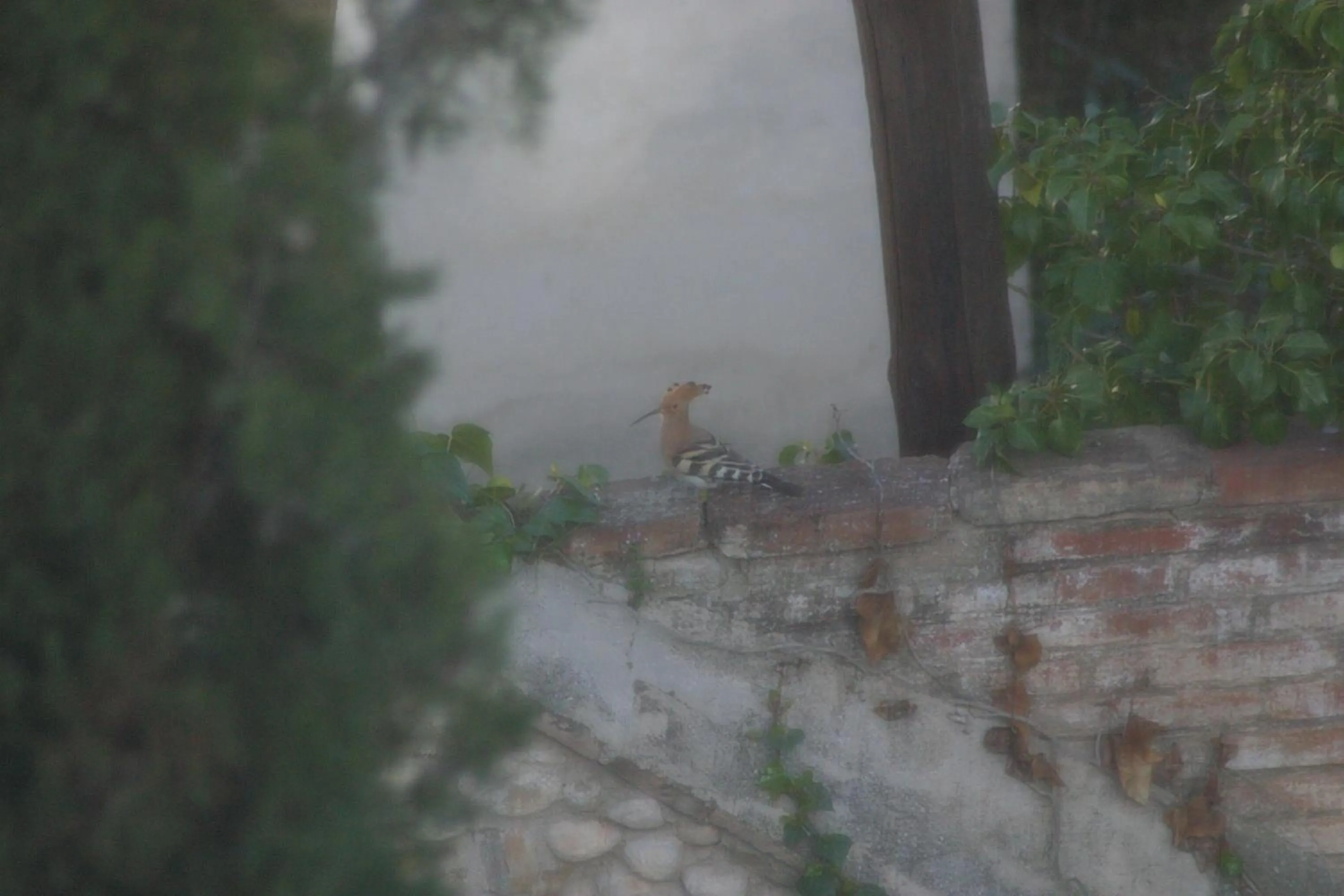 Patio in Vi l'Art Wine Lodge - Only Adults