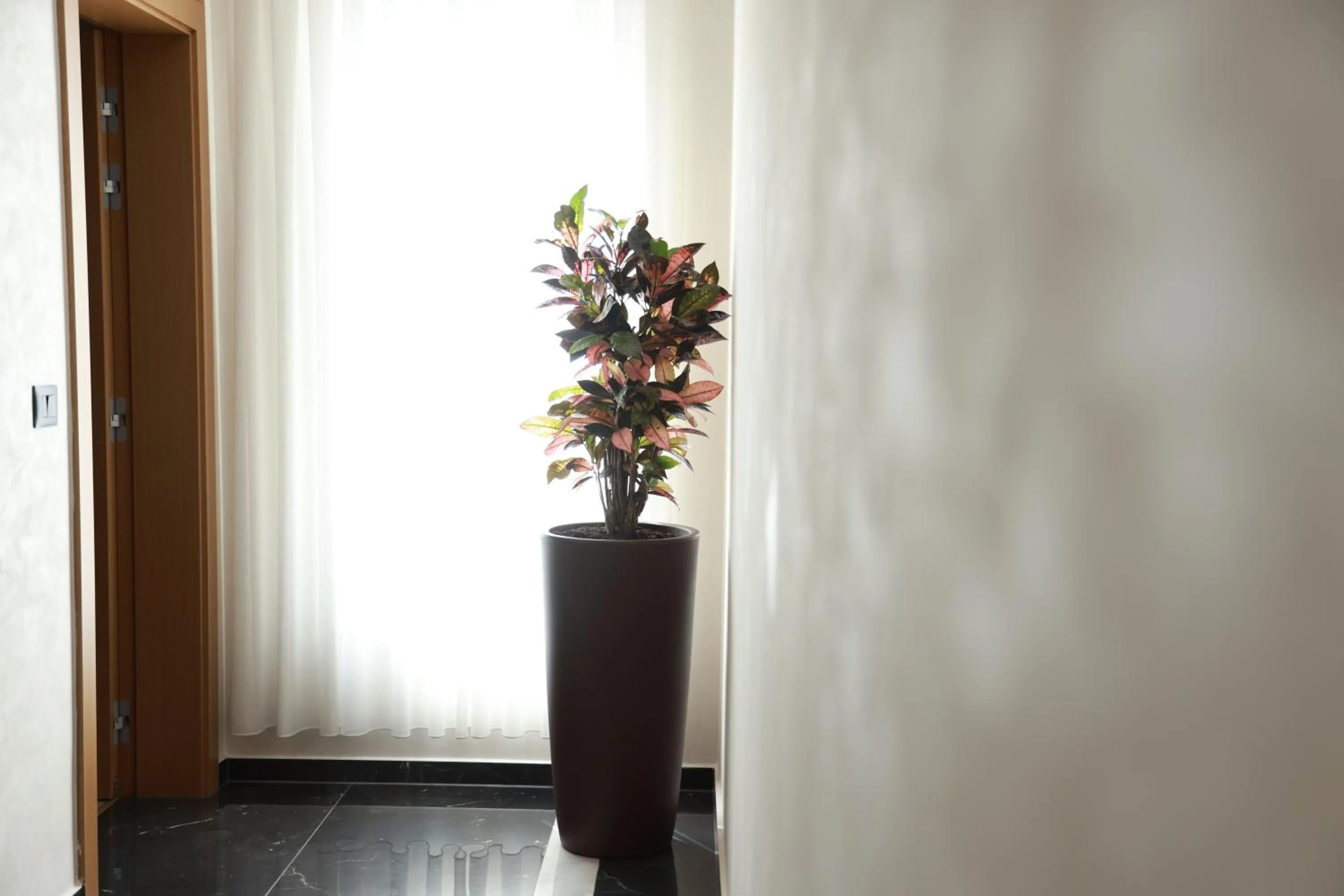 Area and facilities in BAZ'HUR Boutique Hotel