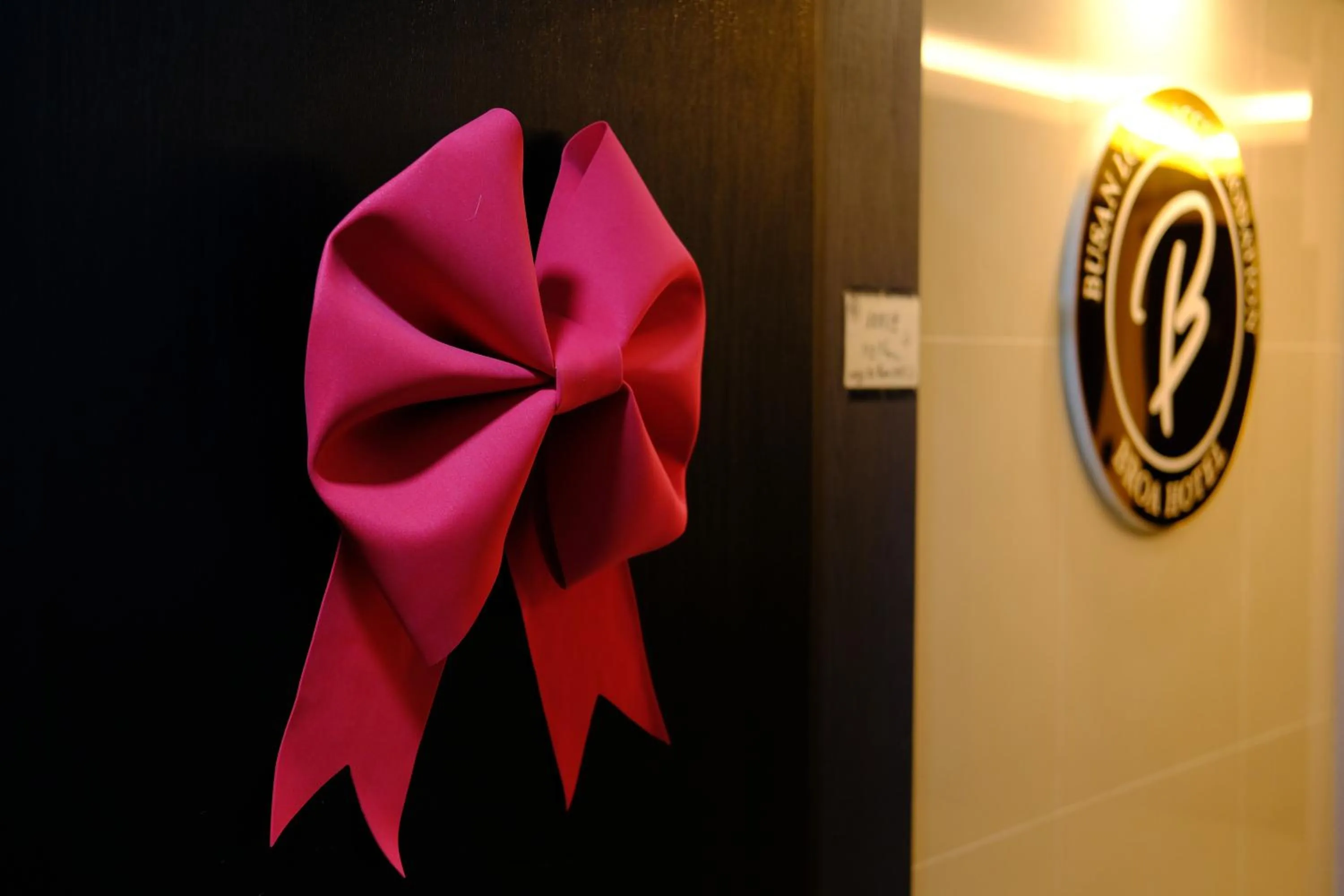 Busan Seomyeon Broa Hotel