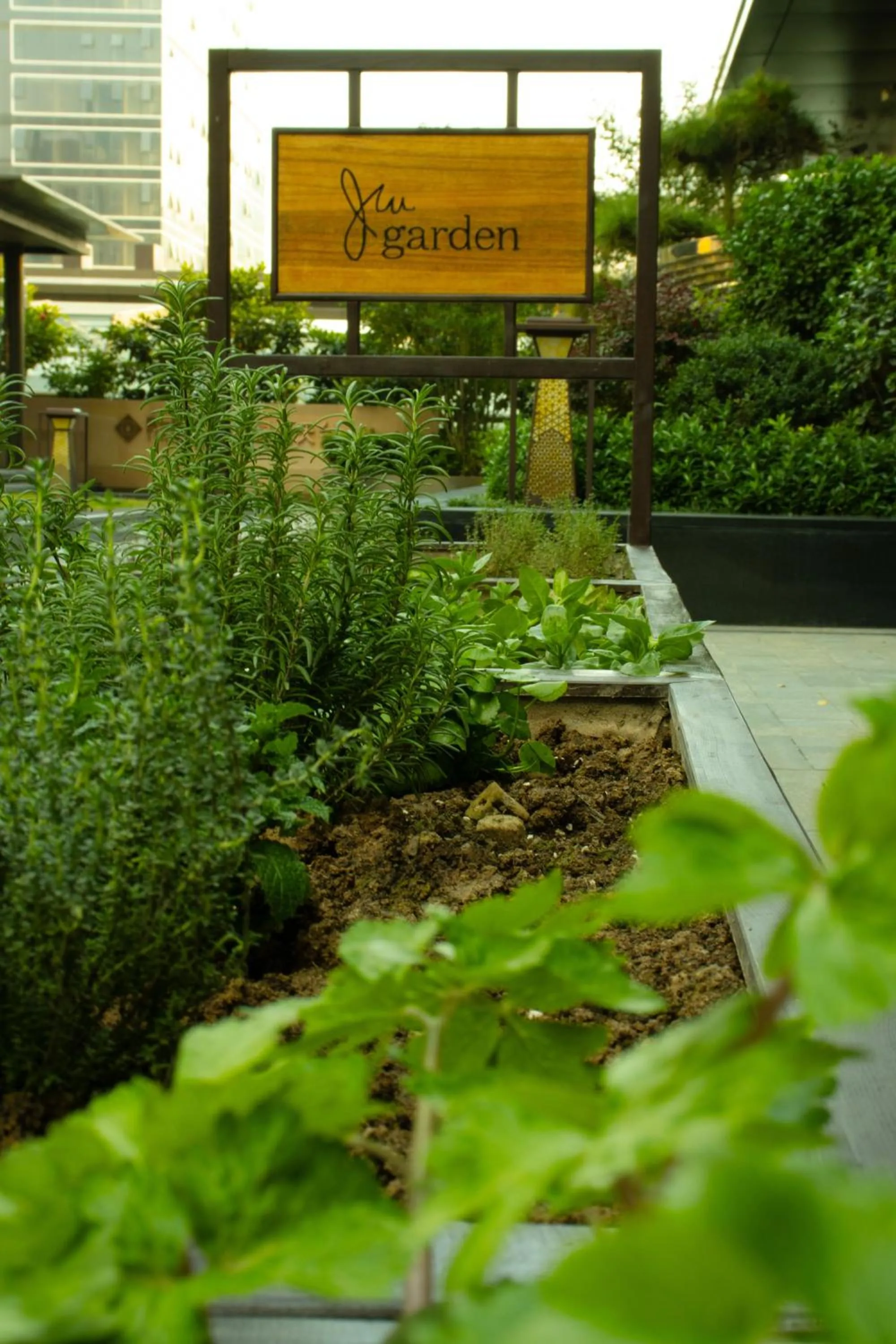 Garden in JW Marriott Hotel Xi'an Southwest