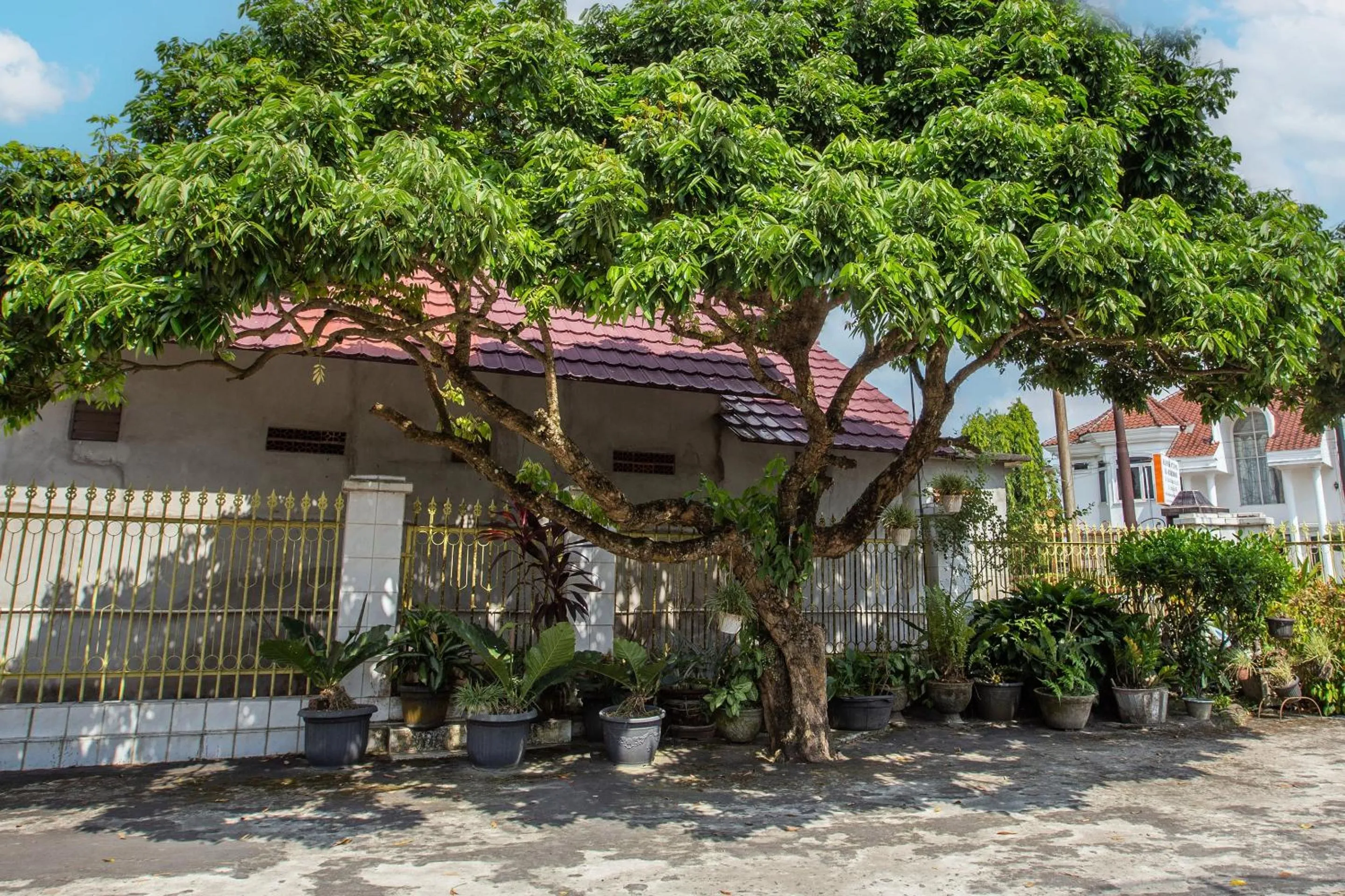 On site in OYO Life 92803 Penginapan Purnama