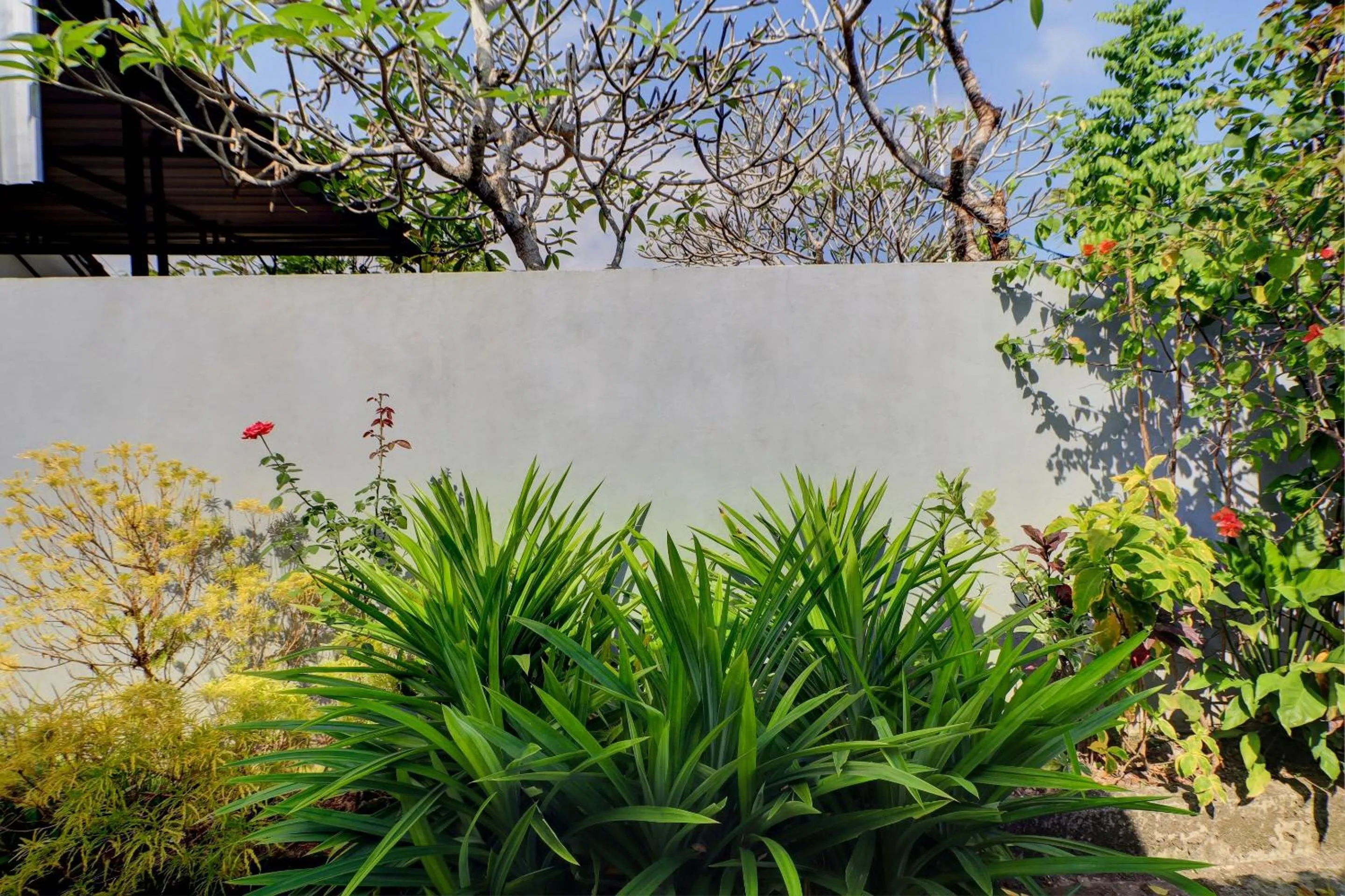 Lobby or reception in OYO Life 92838 Kost Ibu Surya