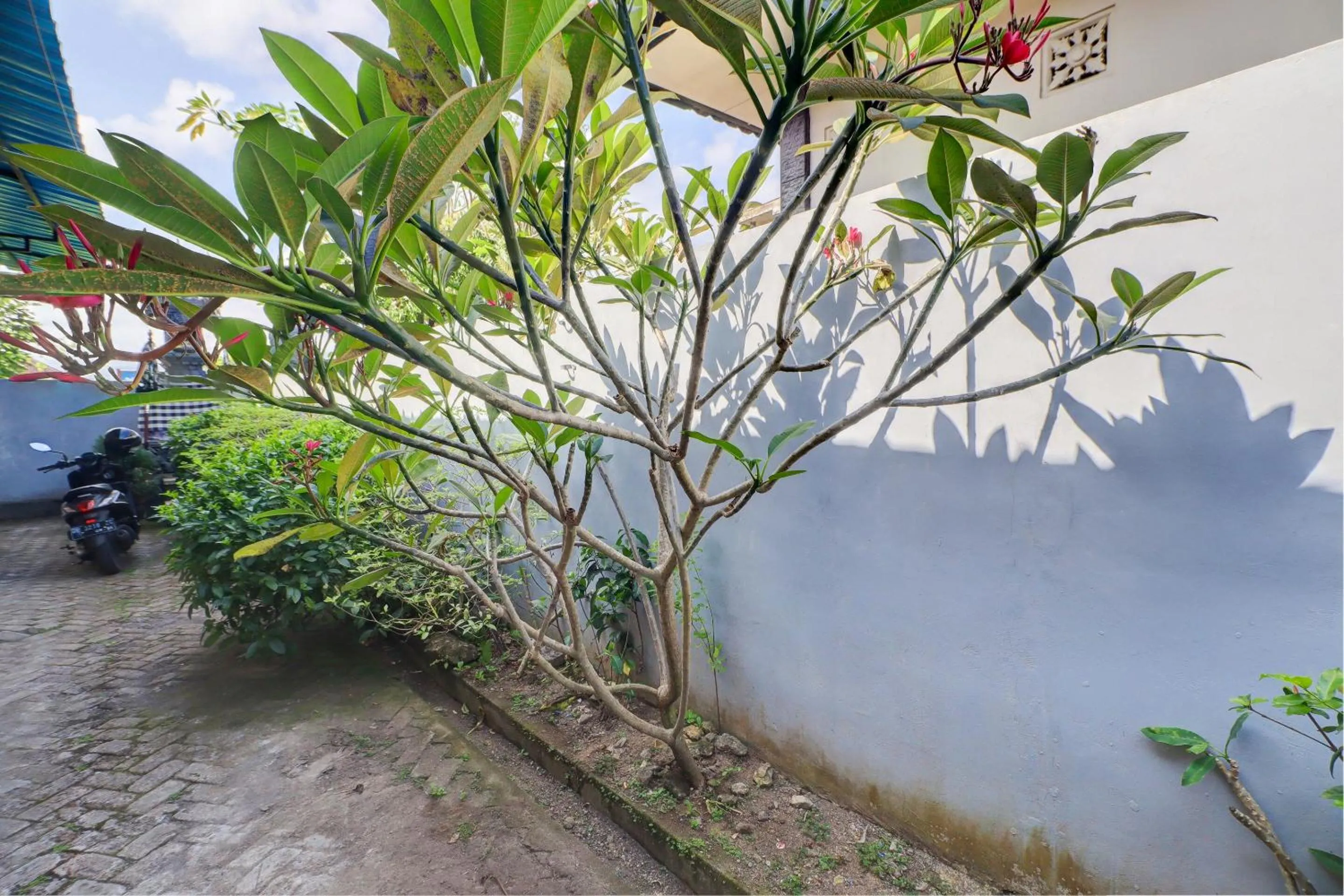 Lobby or reception in OYO Life 92838 Kost Ibu Surya