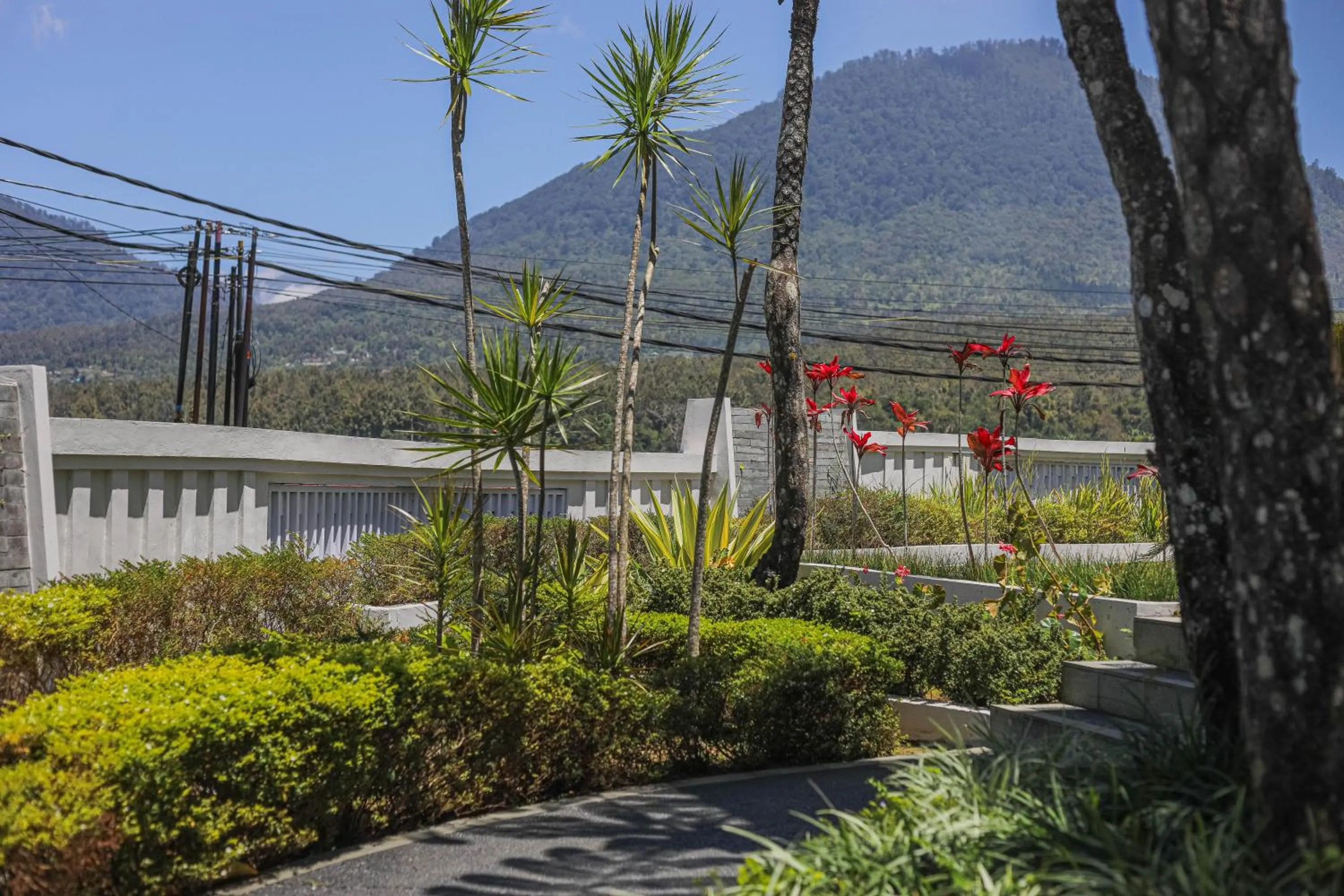 Day in Lavender - Taman Tanda