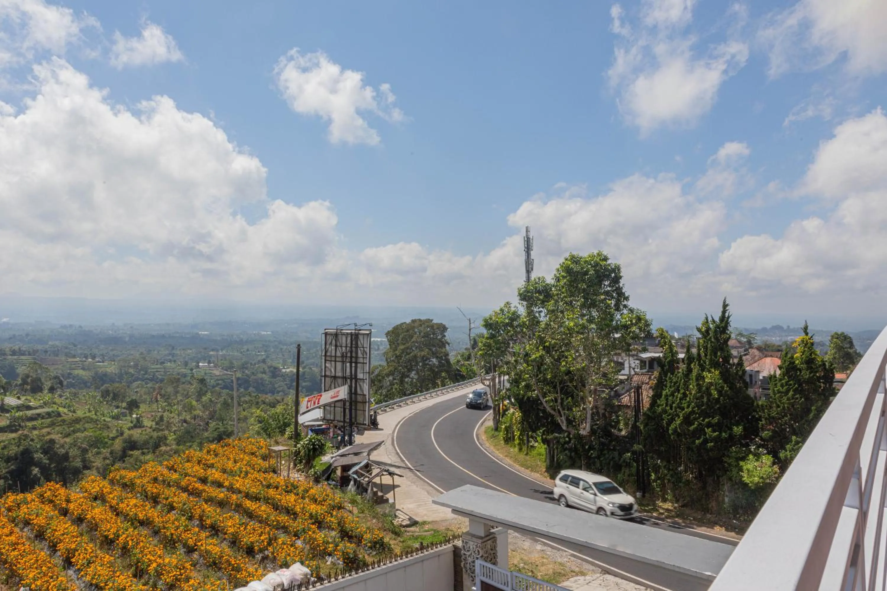 Day in Lavender - Taman Tanda
