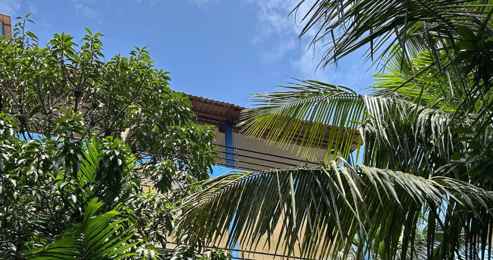 Natural landscape in Aqua Wave by YogiTree Hotels