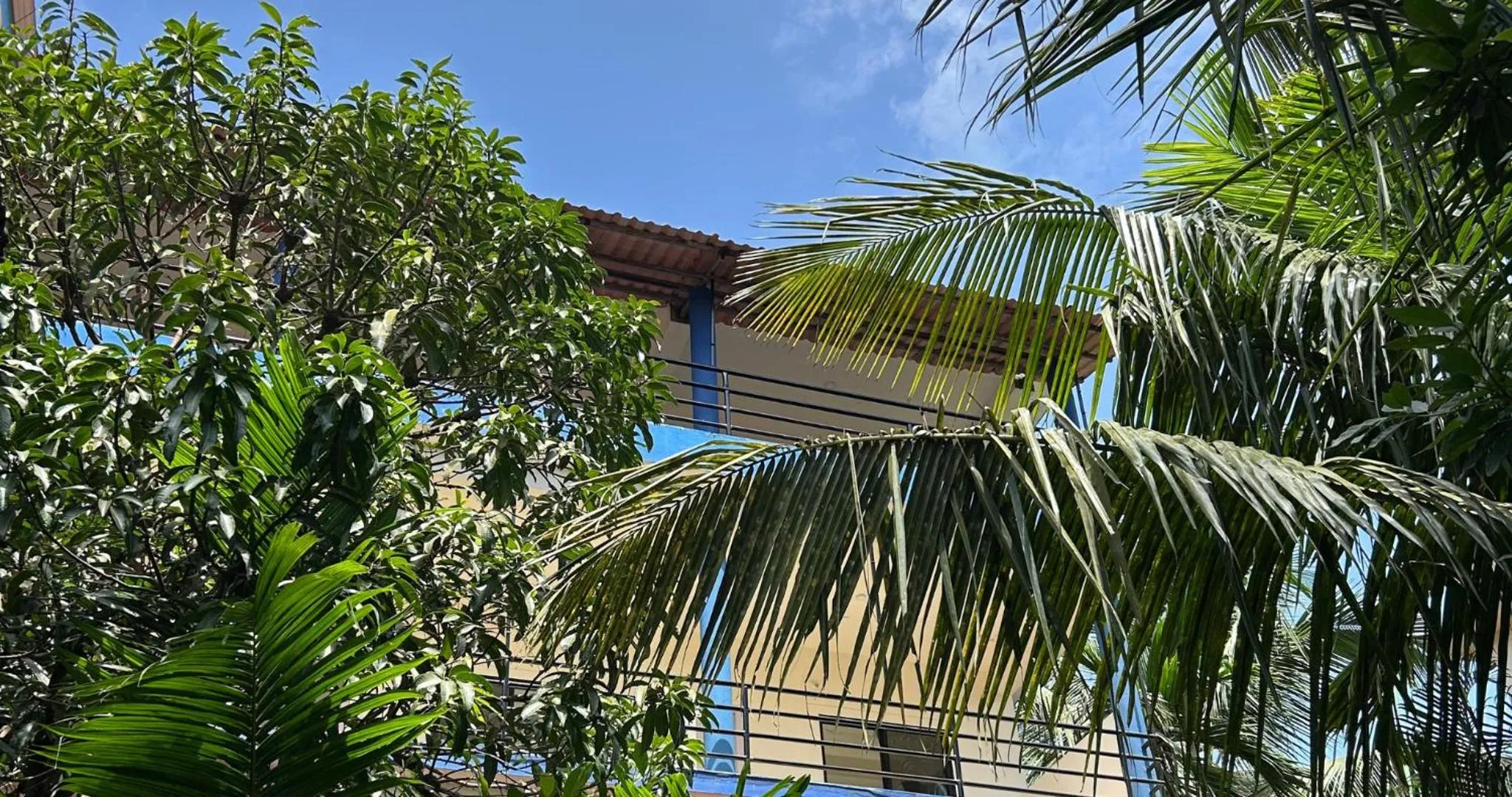 Garden in Aqua Wave by YogiTree Hotels