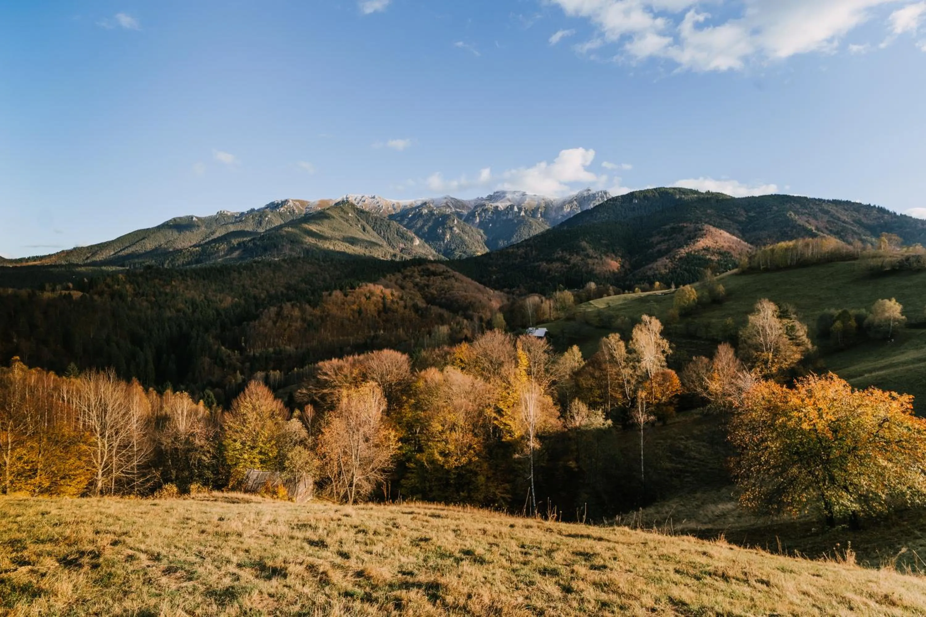 View (from property/room) in Matca Hotel Relais & Châteaux