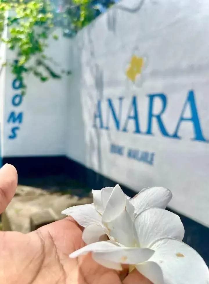 Anara Villa Anara Villa