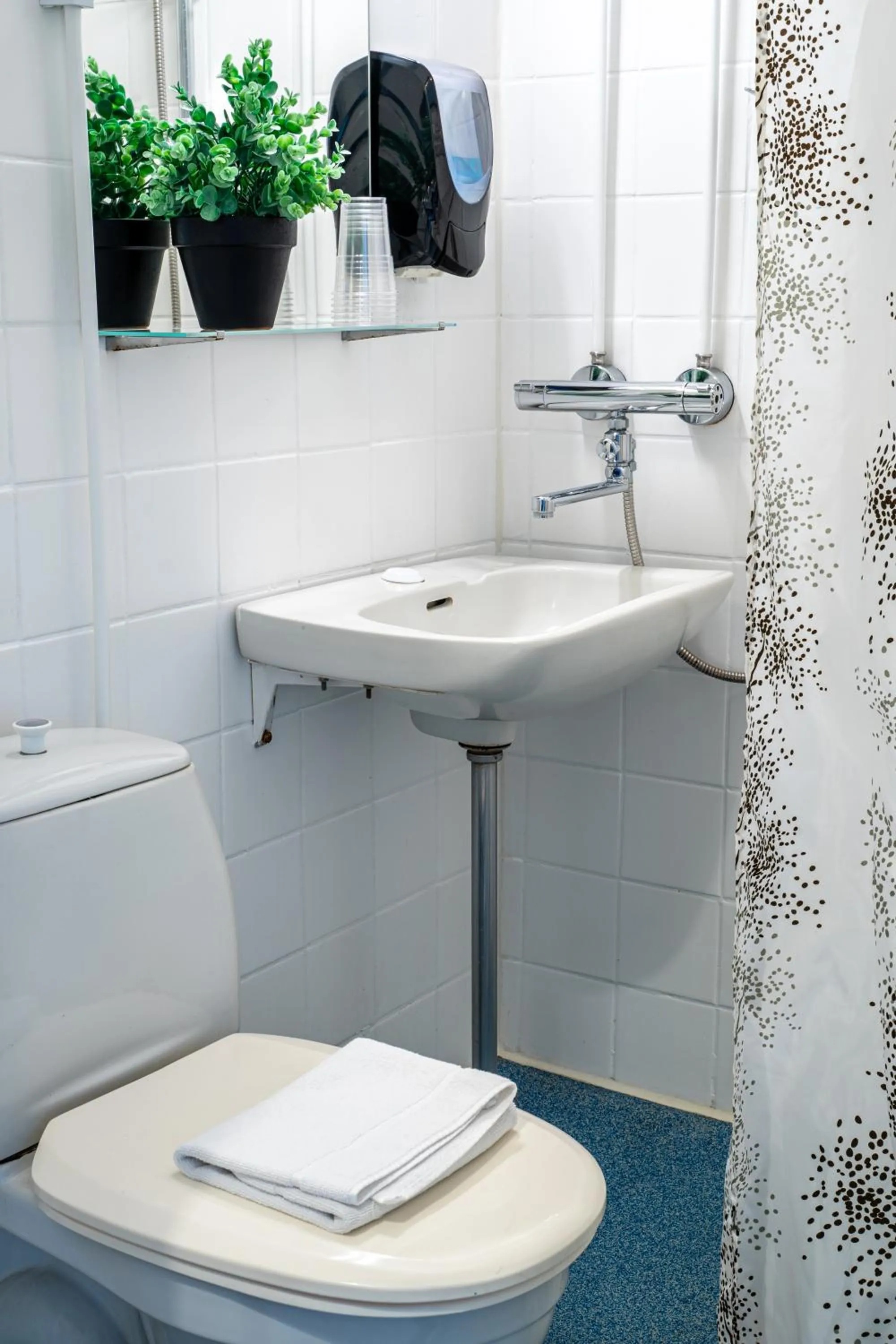 Toilet in Hotel Pohjankievari