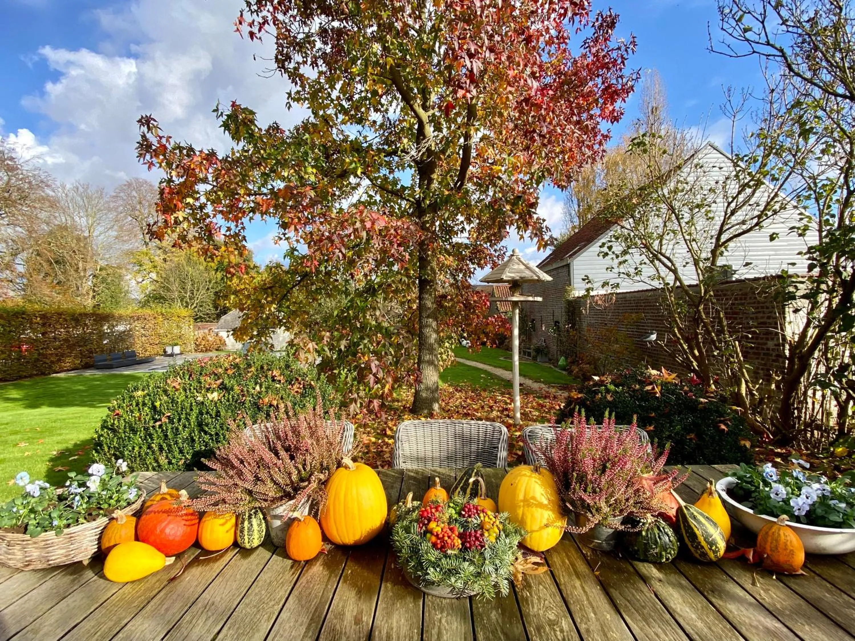 Garden in B&B Aline Florentine - adults only - Luxury B&B - Chambres d'Hôtes - Zimmer Frei