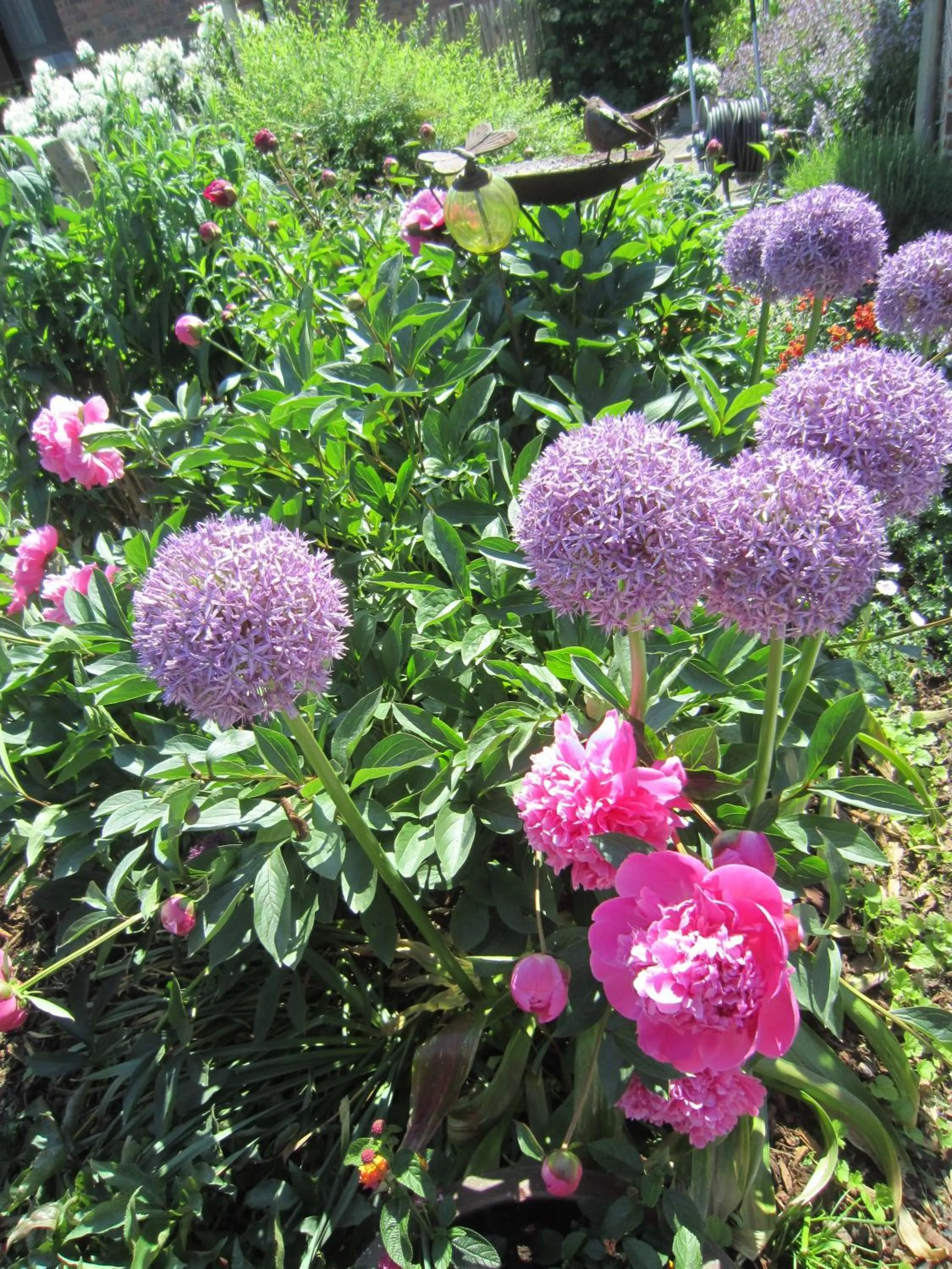 Garden in B&B Aline Florentine - adults only - Luxury B&B - Chambres d'Hôtes - Zimmer Frei
