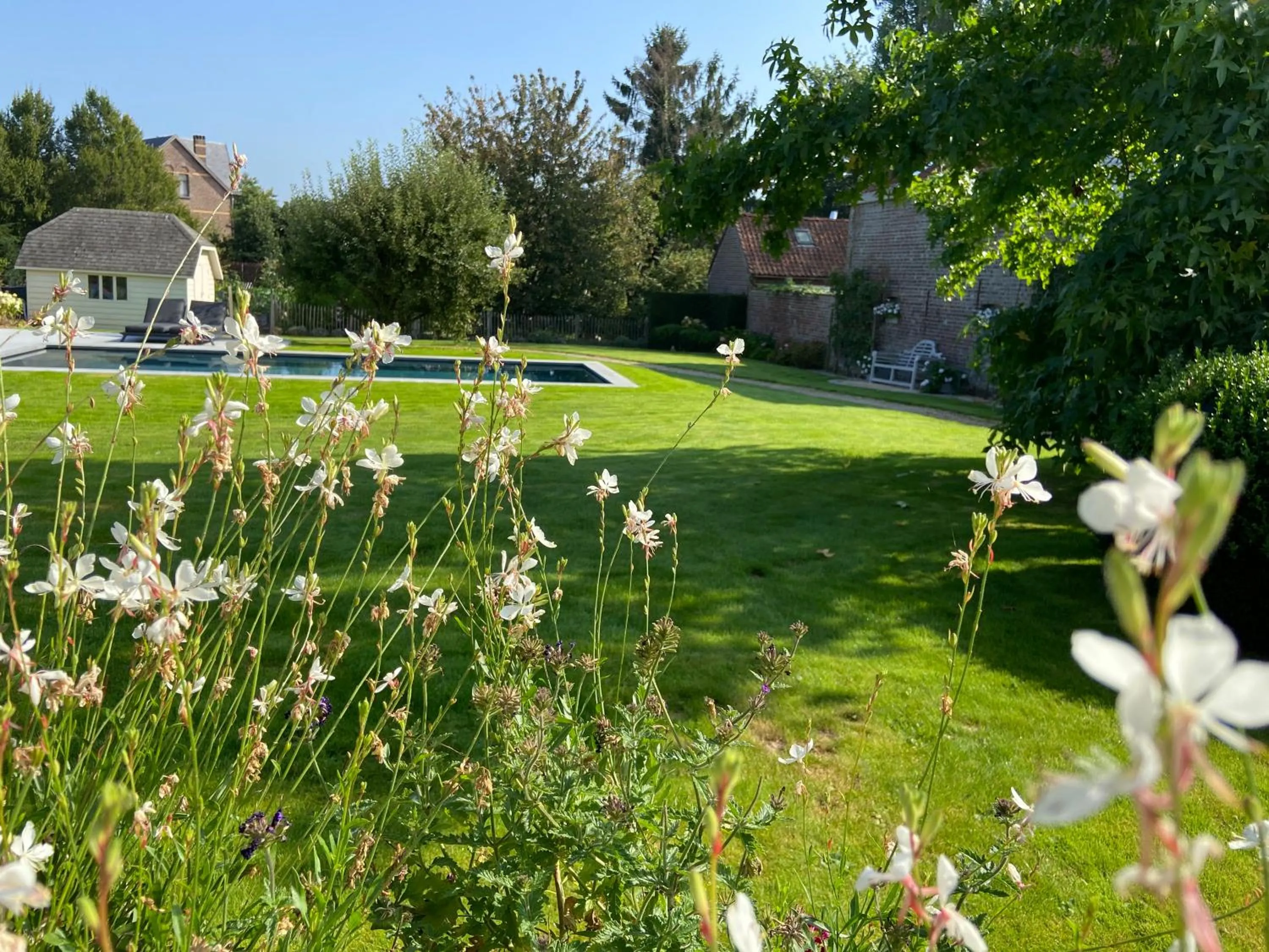 Garden in B&B Aline Florentine - adults only - Luxury B&B - Chambres d'Hôtes - Zimmer Frei