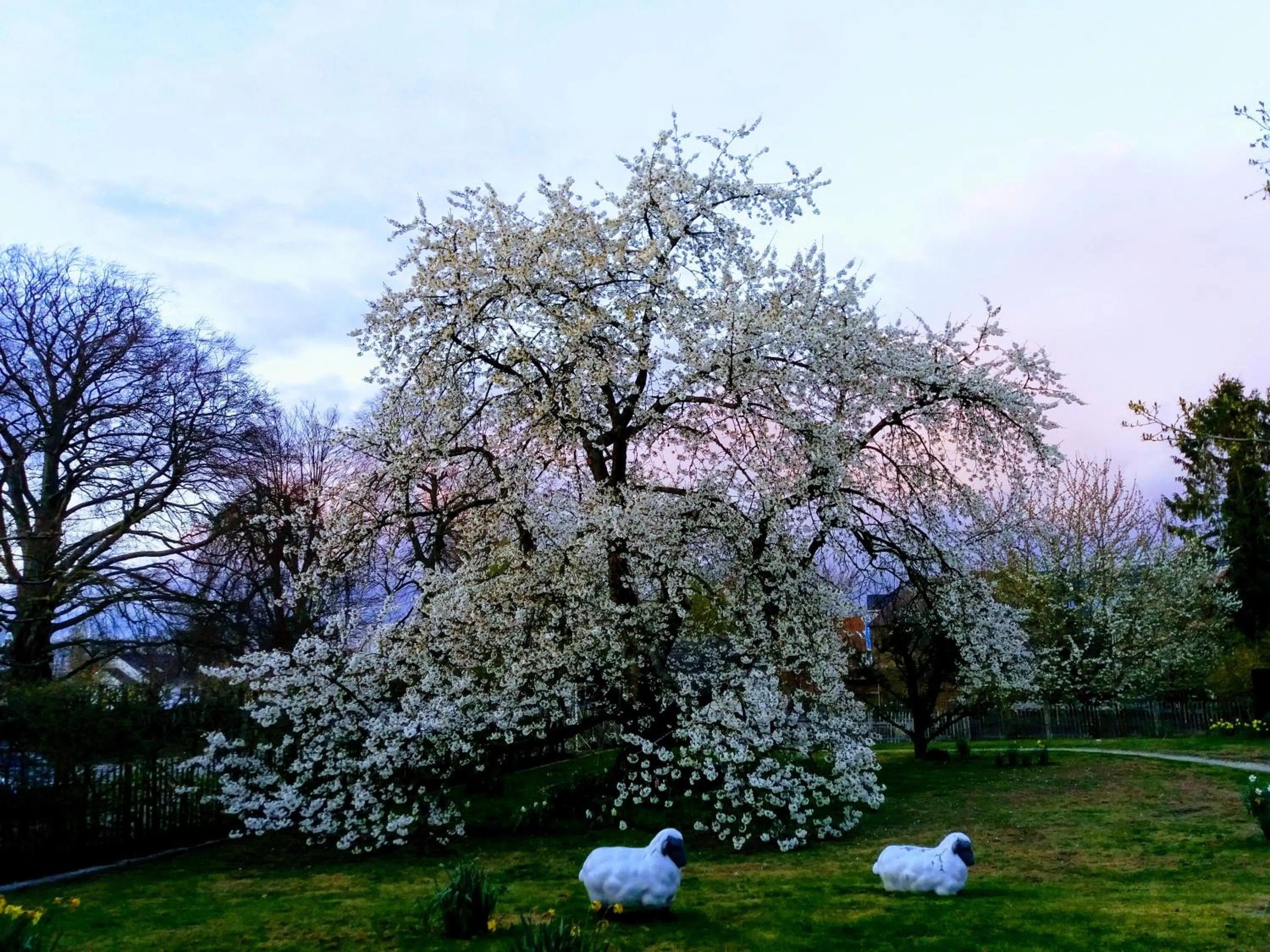 Spring in B&B Aline Florentine - adults only - Luxury B&B - Chambres d'Hôtes - Zimmer Frei