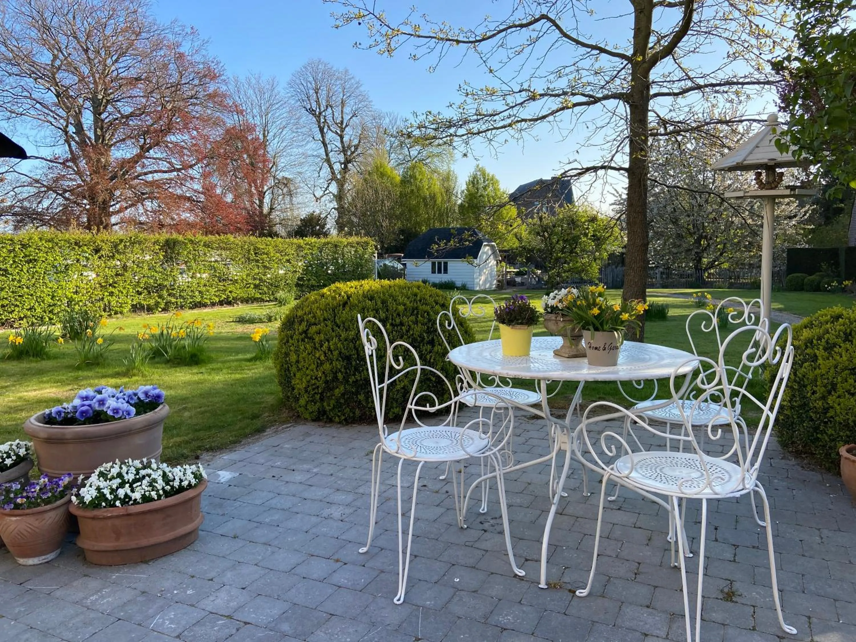 Garden in B&B Aline Florentine - adults only - Luxury B&B - Chambres d'Hôtes - Zimmer Frei