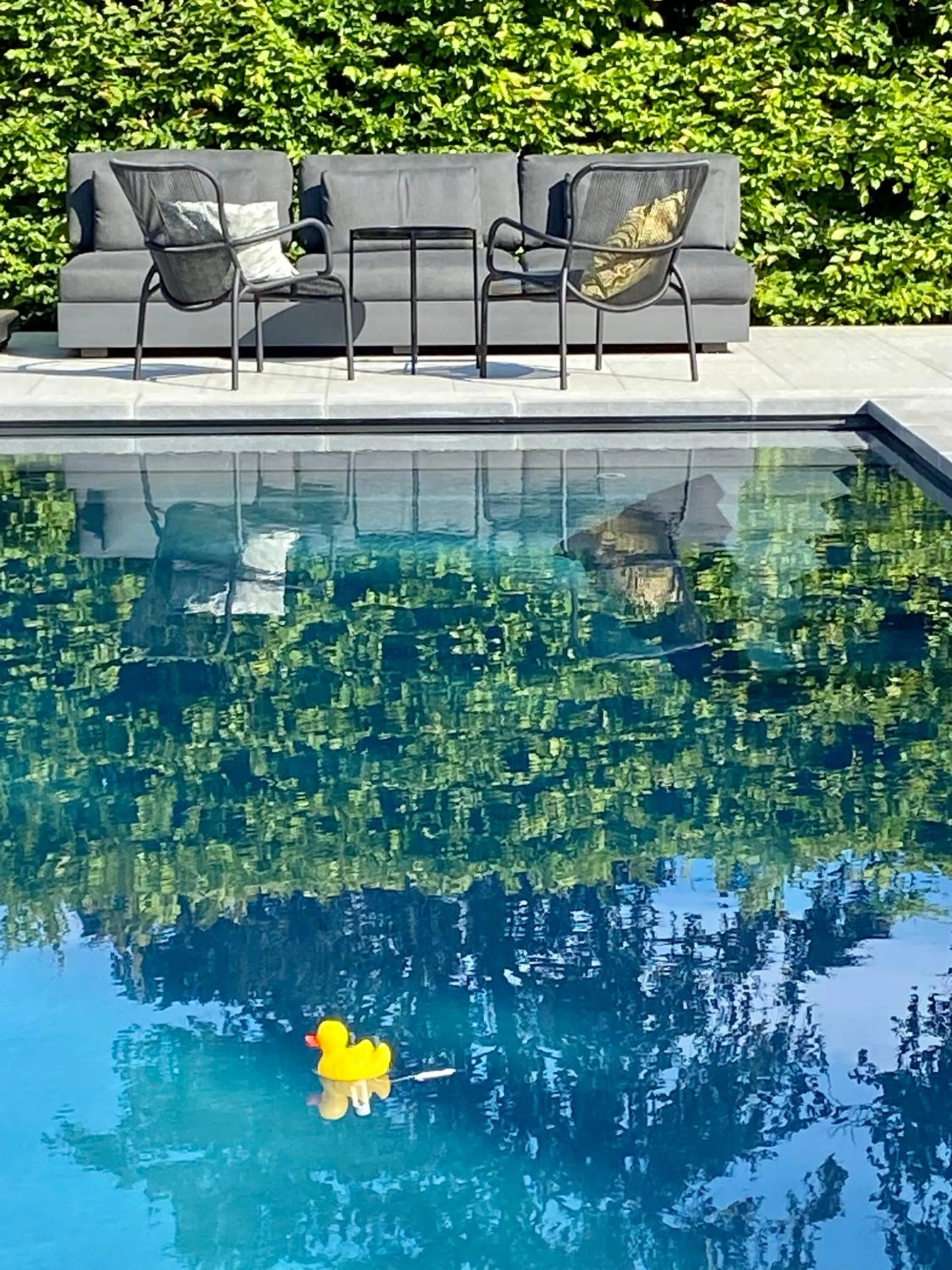 Swimming pool in B&B Aline Florentine - adults only - Luxury B&B - Chambres d'Hôtes - Zimmer Frei