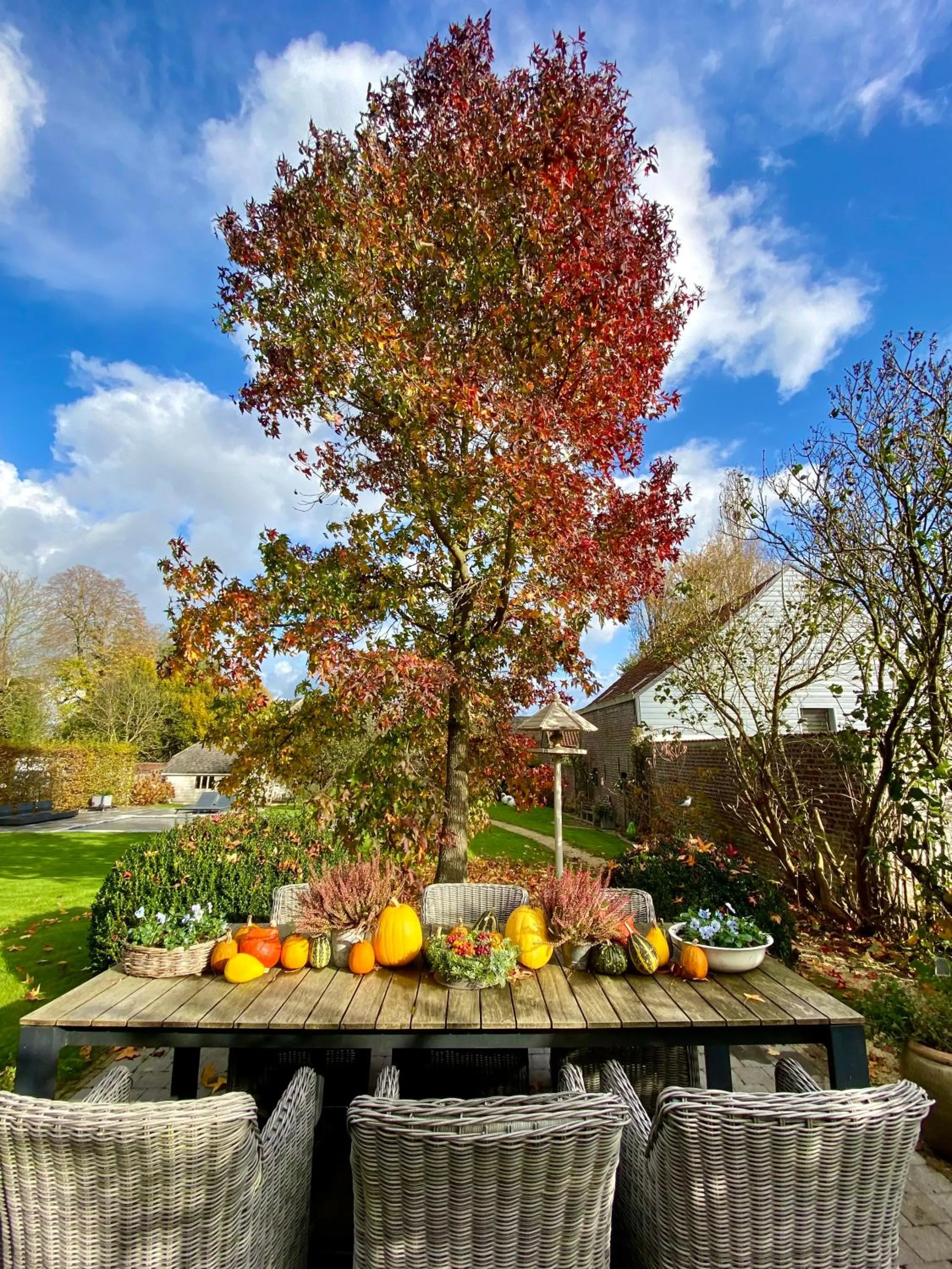 Garden in B&B Aline Florentine - adults only - Luxury B&B - Chambres d'Hôtes - Zimmer Frei