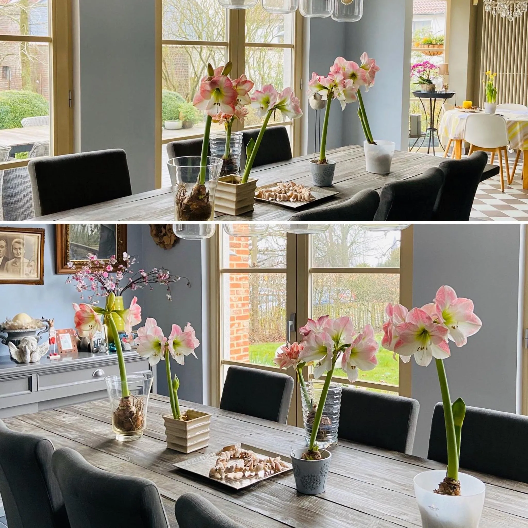 Dining area in B&B Aline Florentine - adults only - Luxury B&B - Chambres d'Hôtes - Zimmer Frei