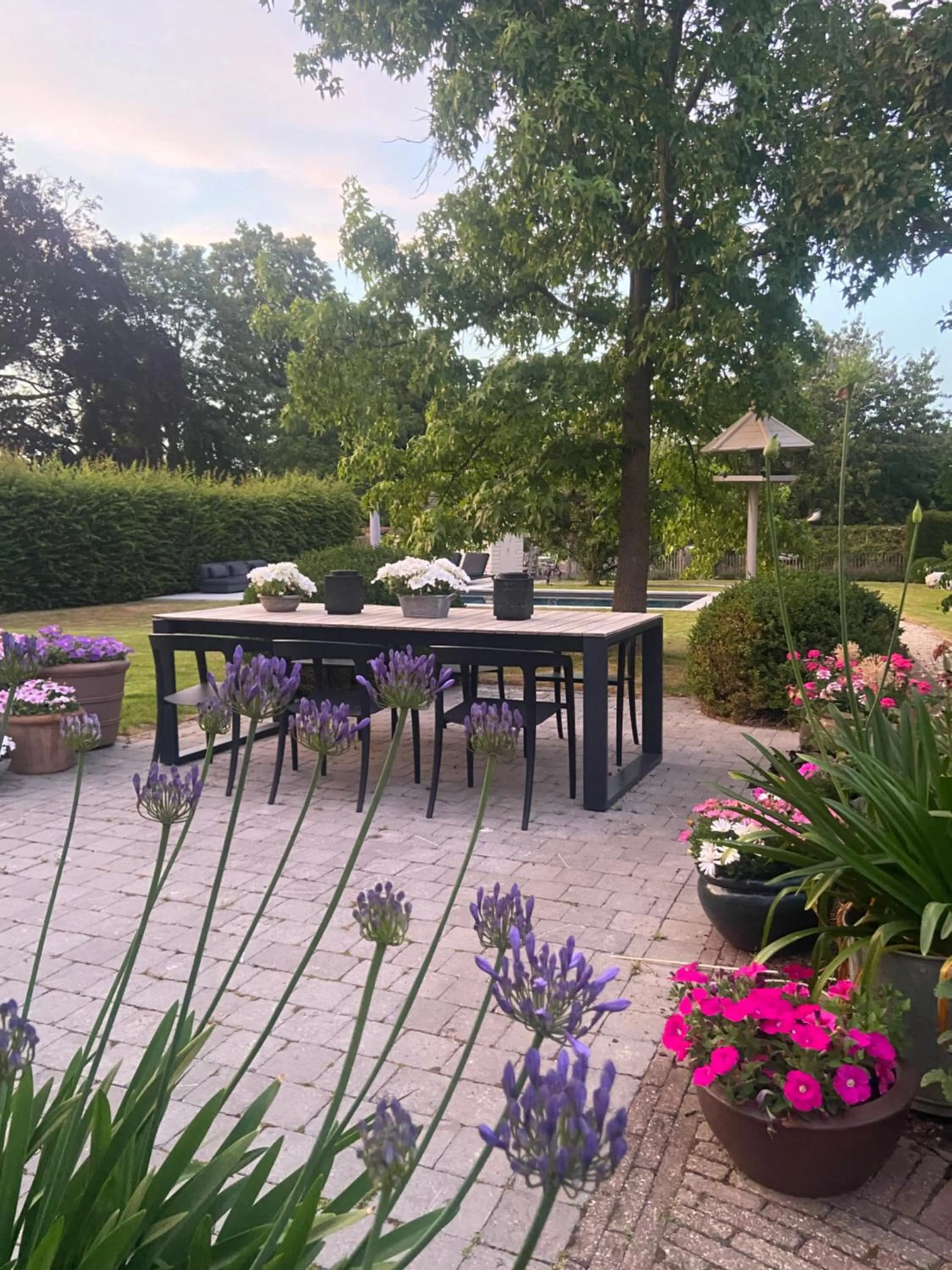 Garden in B&B Aline Florentine - adults only - Luxury B&B - Chambres d'Hôtes - Zimmer Frei