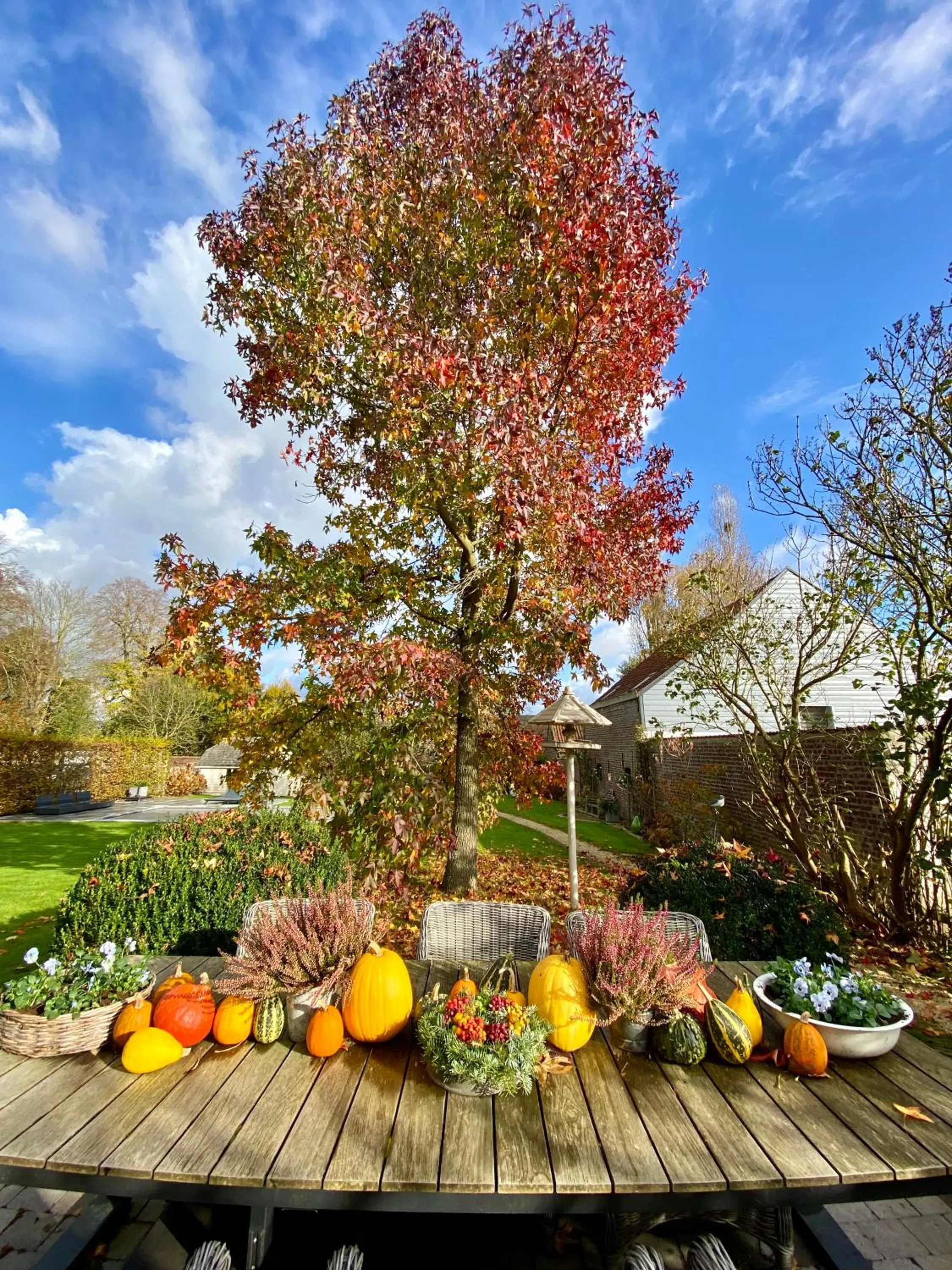 Day in B&B Aline Florentine - adults only - Luxury B&B - Chambres d'Hôtes - Zimmer Frei