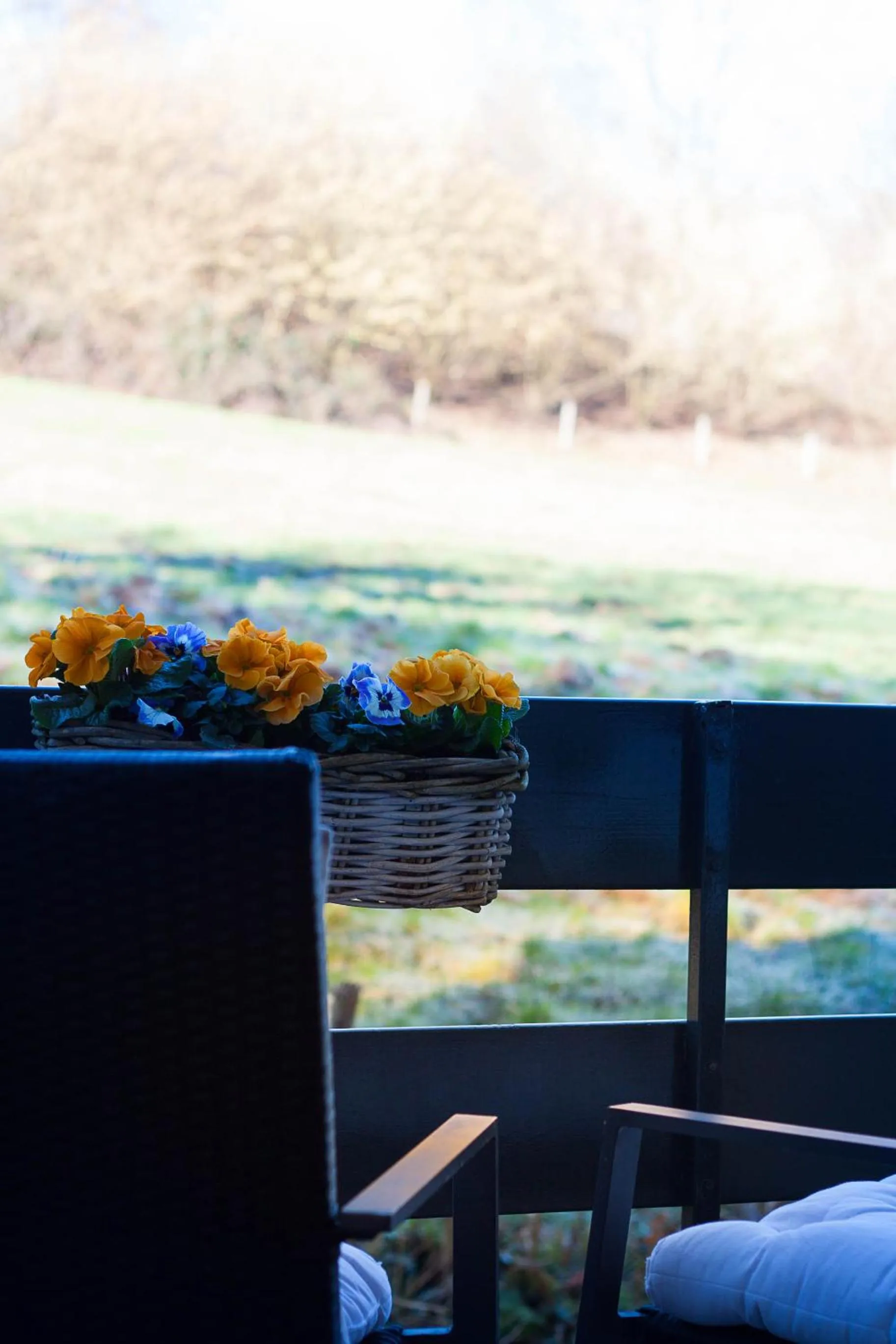 Balcony/Terrace in Hotel Lamerichs