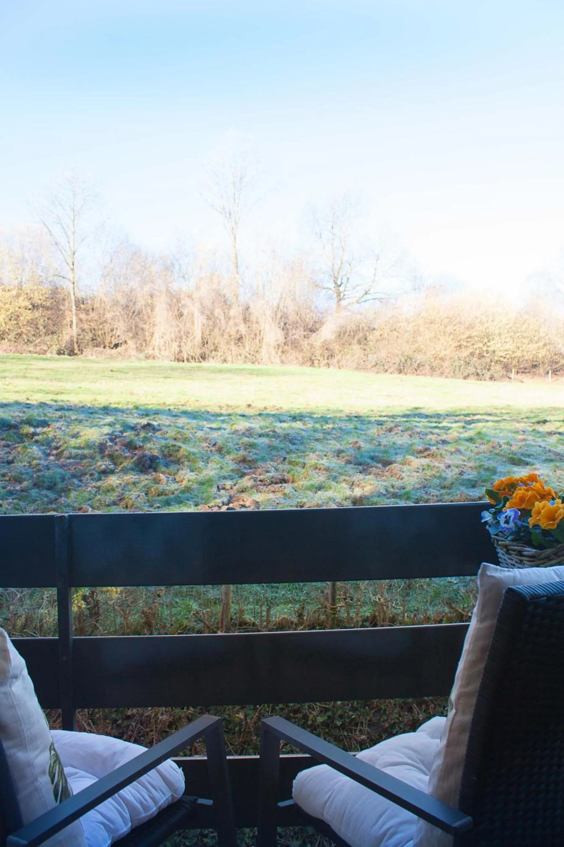 Patio in Hotel Lamerichs