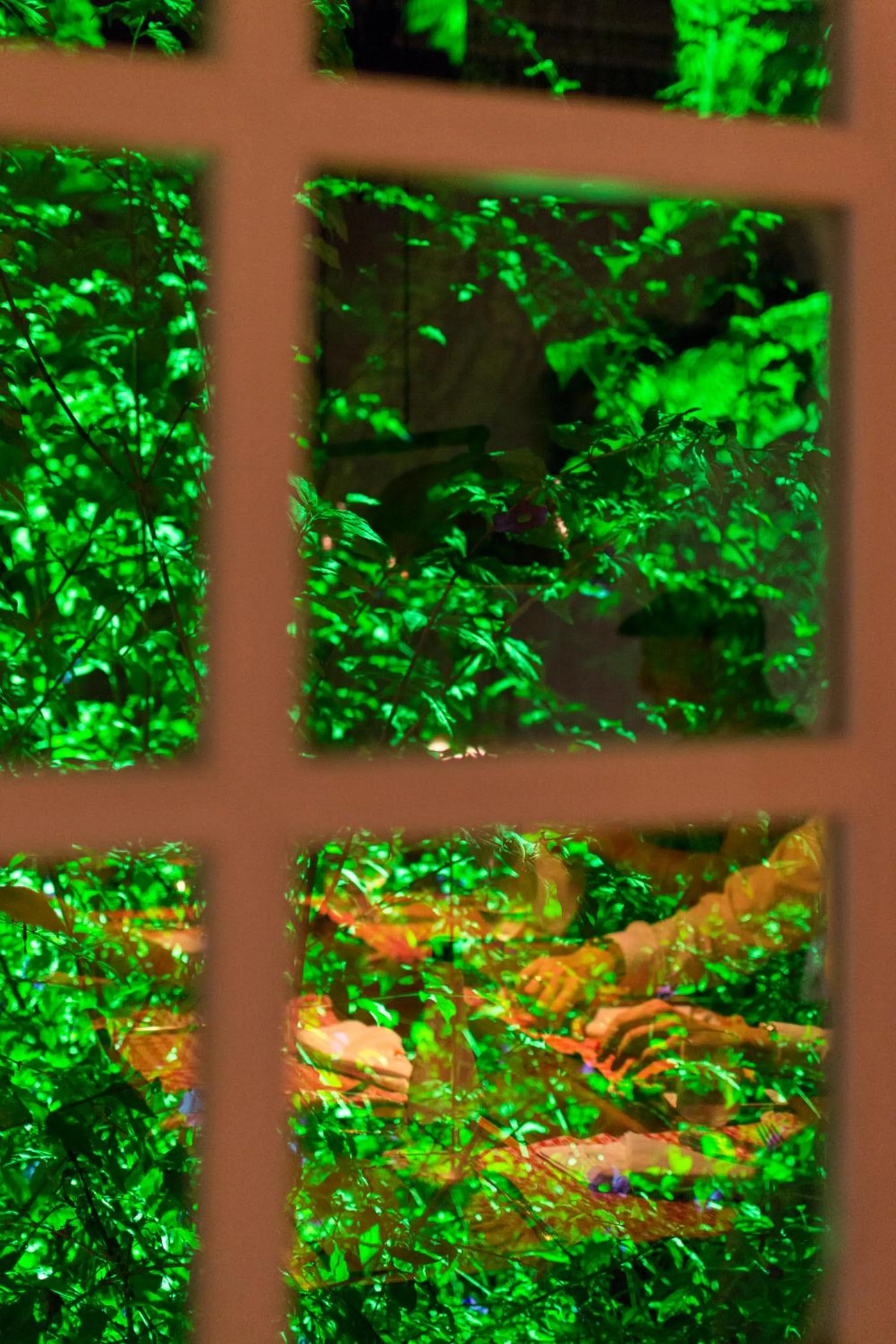 Natural landscape in Pousada Chão de Minas