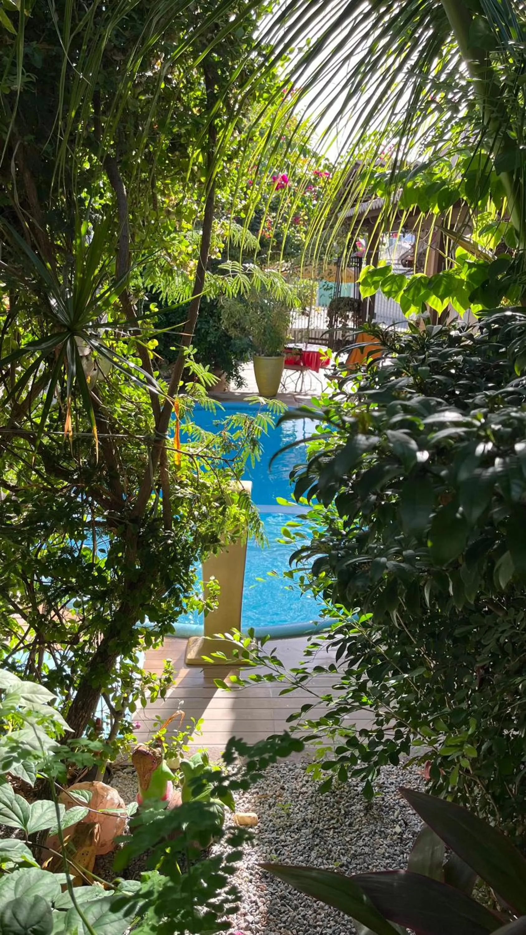 Swimming pool in Pousada Flor Dália