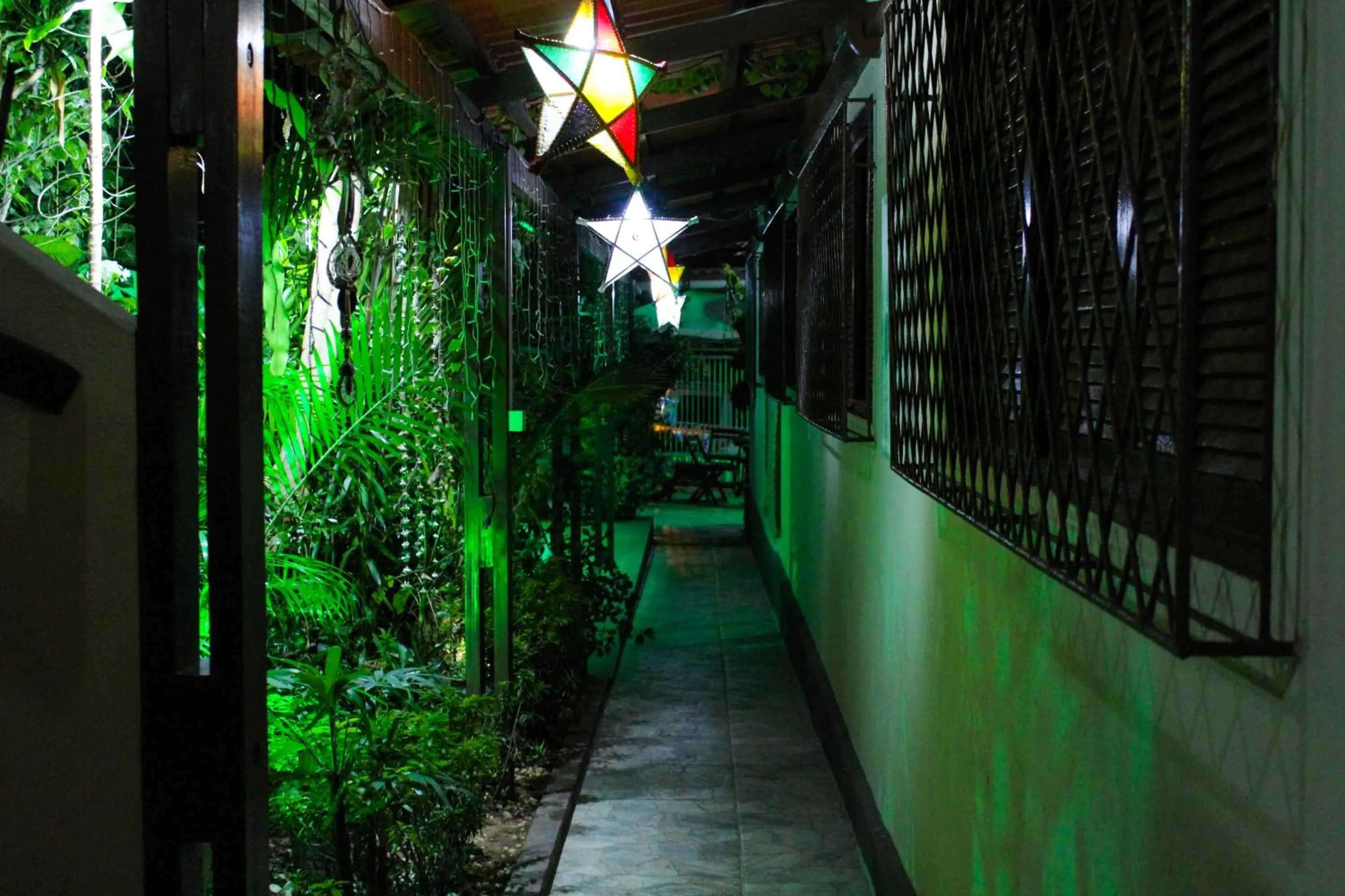 Garden view in Pousada Flor Dália