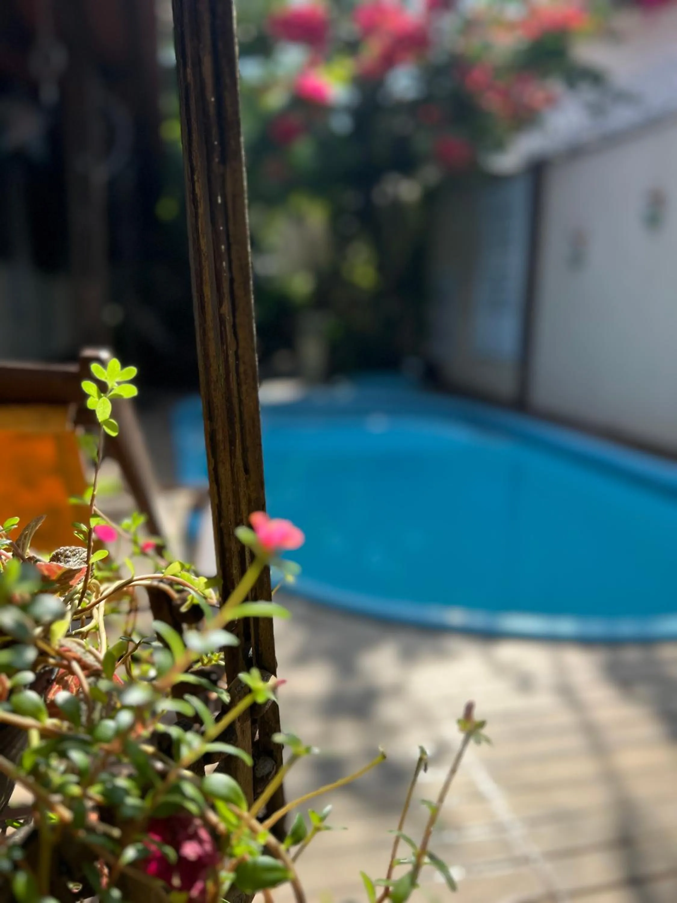 Swimming pool in Pousada Flor Dália