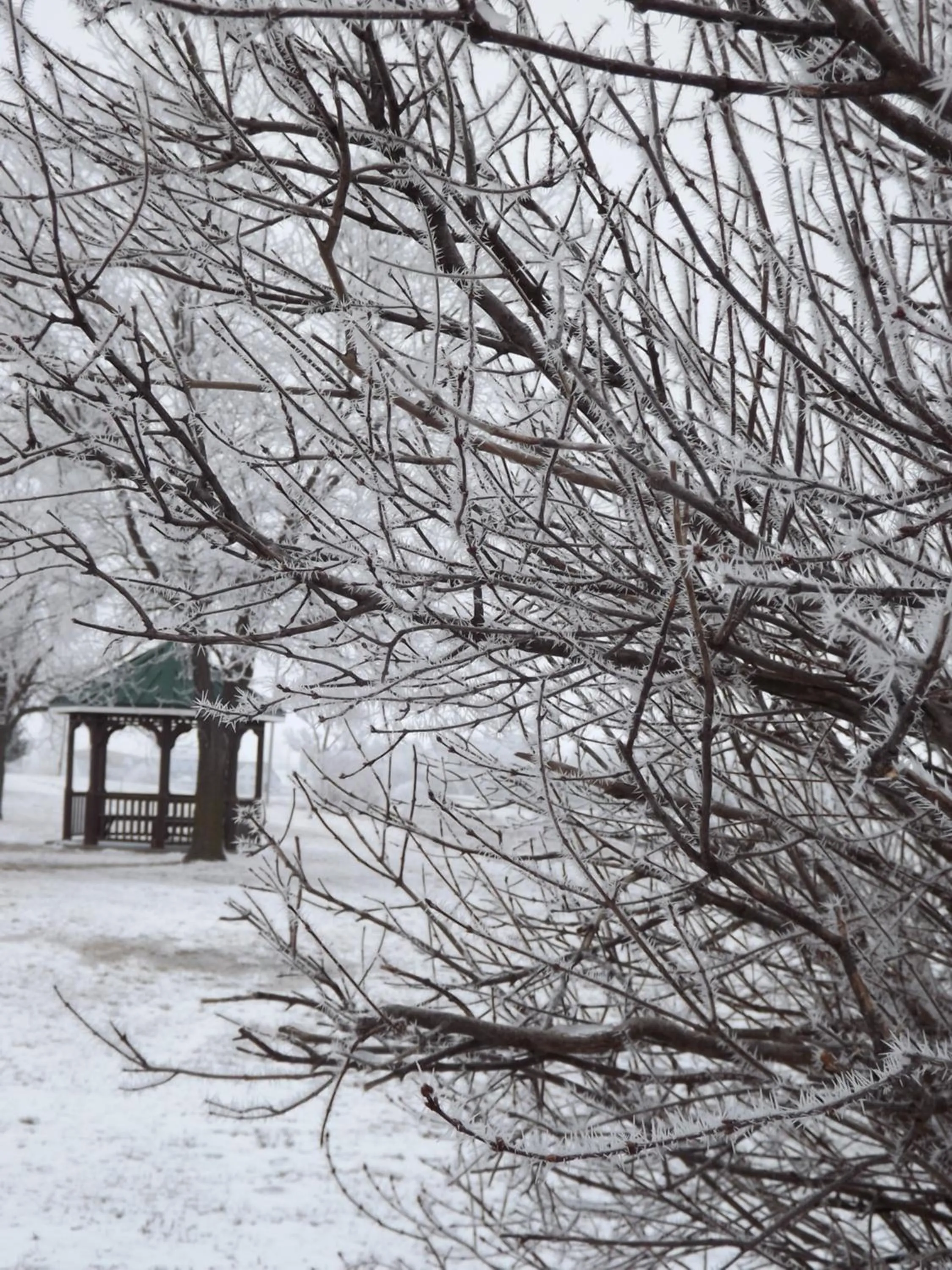 View (from property/room) in Crest Country Inn