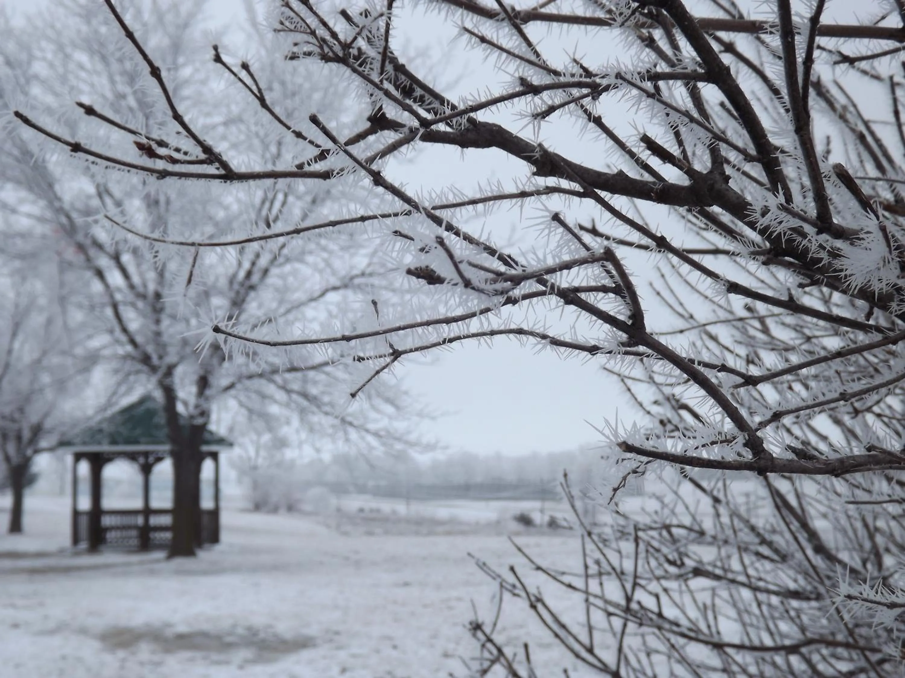 Garden in Crest Country Inn