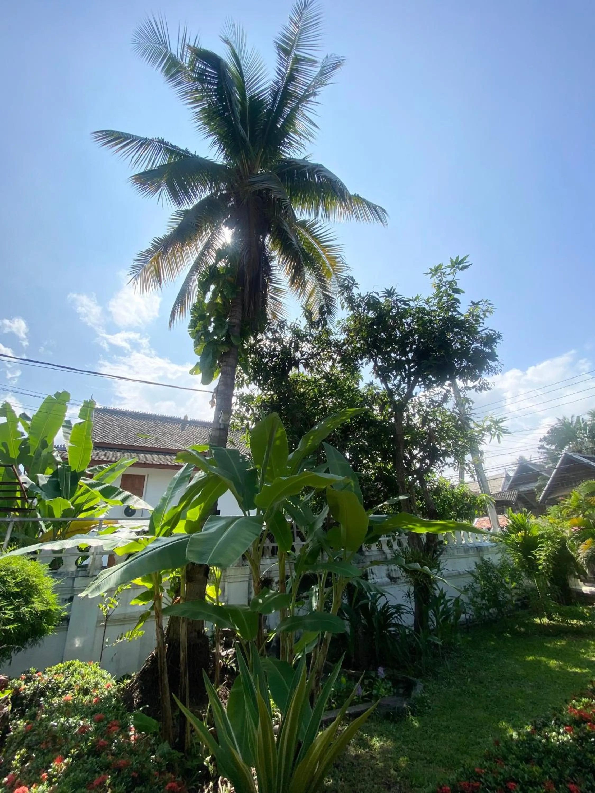Garden in Luang Prabang Residence & Travel