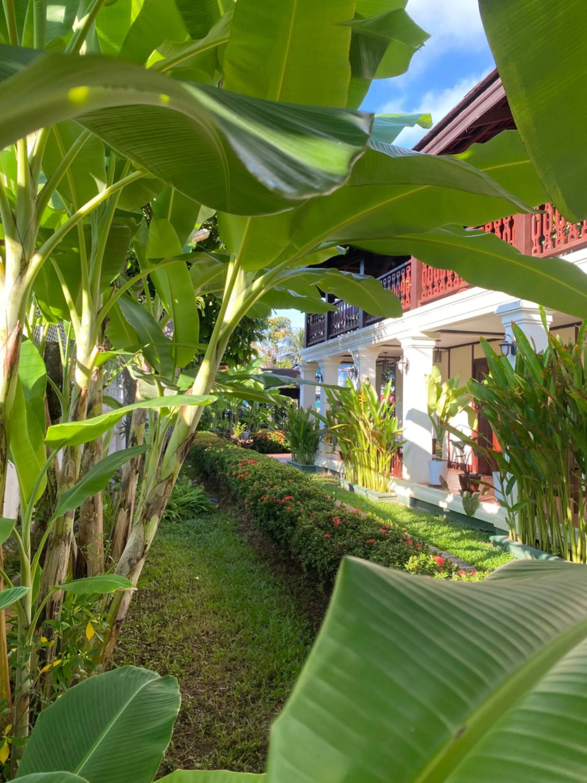 Garden in Luang Prabang Residence & Travel